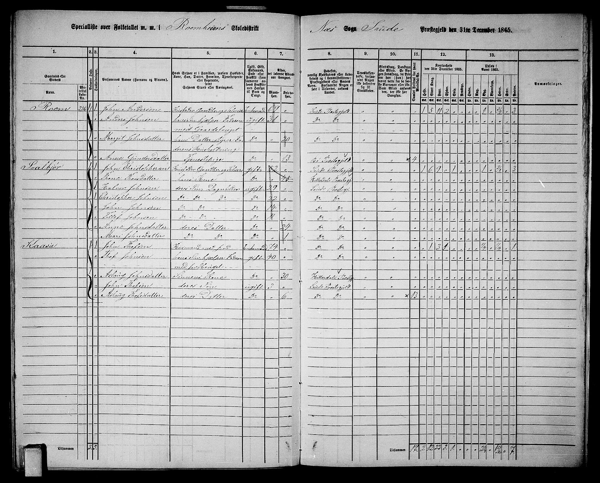 RA, 1865 census for Sauherad, 1865, p. 175