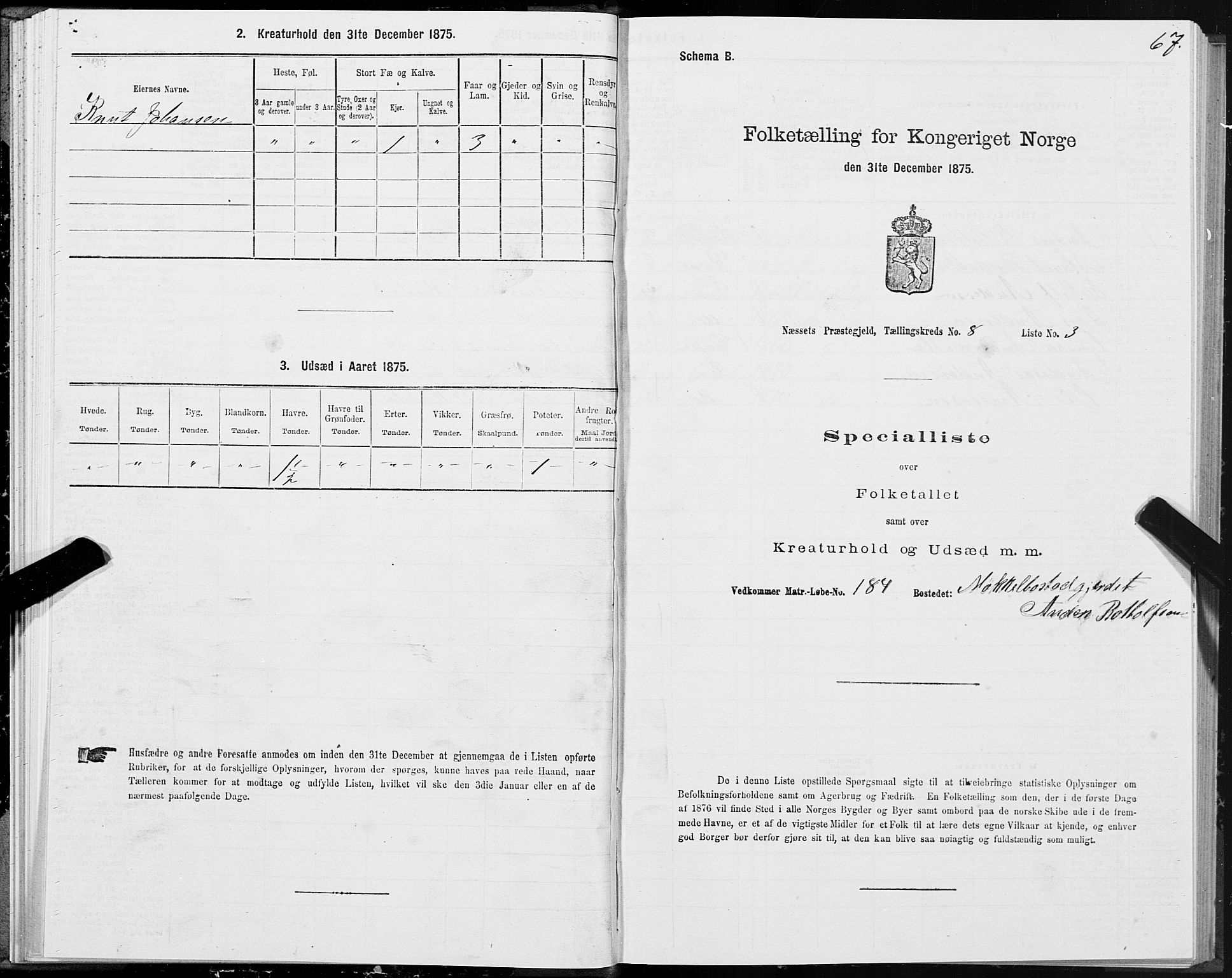 SAT, 1875 census for 1543P Nesset, 1875, p. 4067