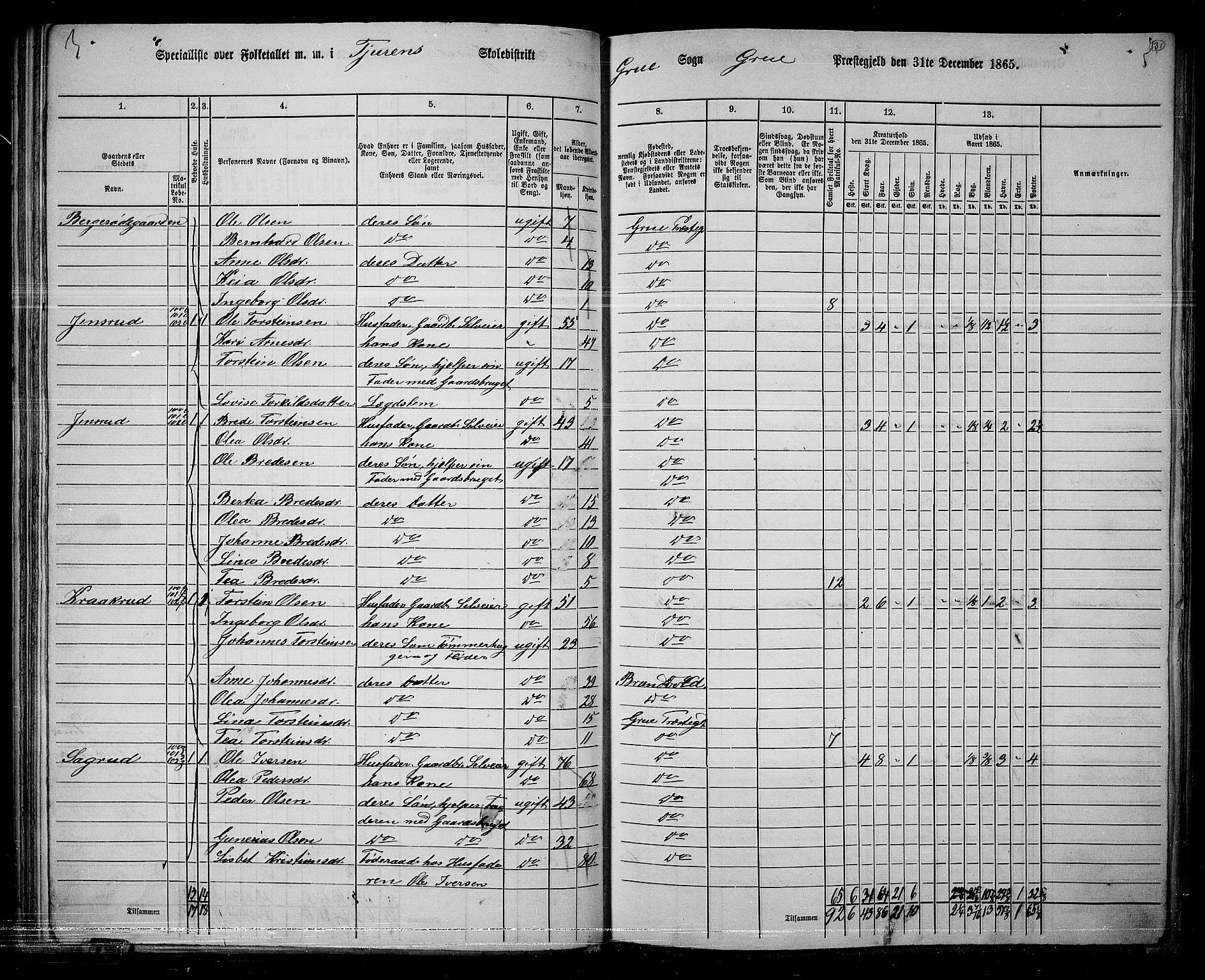 RA, 1865 census for Grue, 1865, p. 110