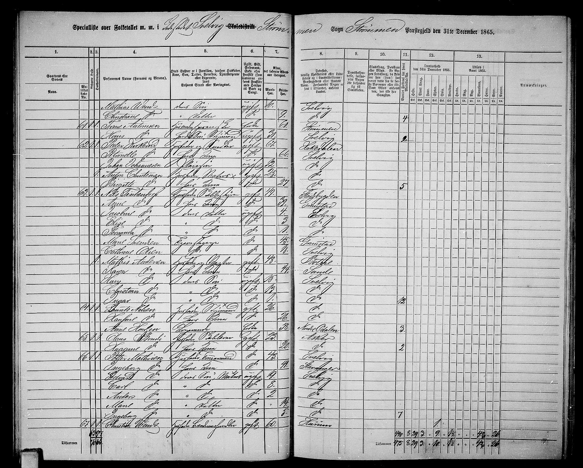 RA, 1865 census for Strømm, 1865, p. 77