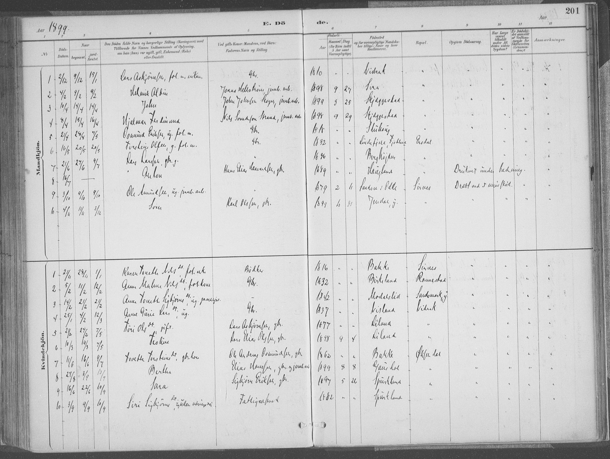 Bakke sokneprestkontor, SAK/1111-0002/F/Fa/Faa/L0008: Parish register (official) no. A 8, 1887-1911, p. 201