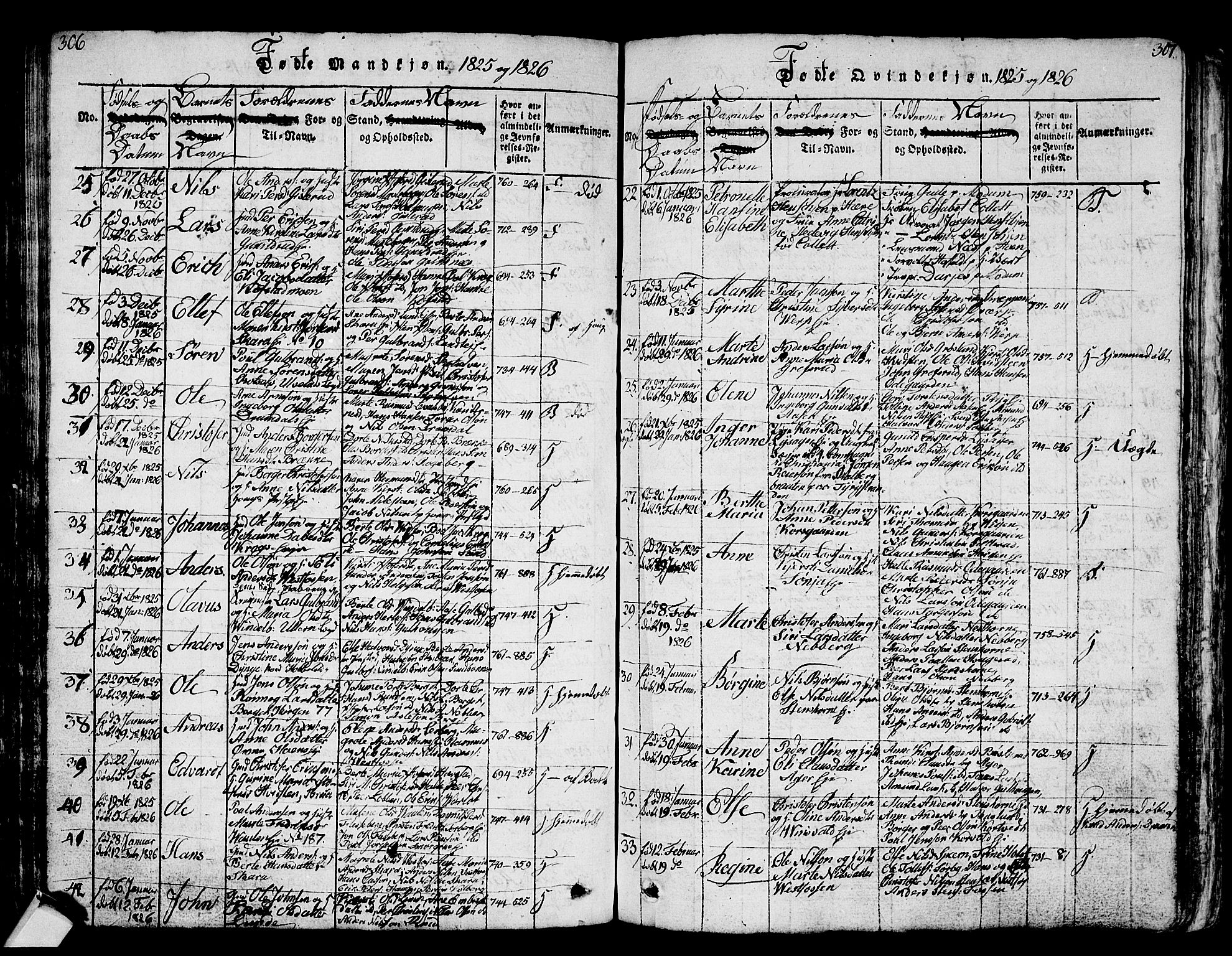 Eiker kirkebøker, AV/SAKO-A-4/G/Ga/L0001: Parish register (copy) no. I 1, 1814-1832, p. 306-307
