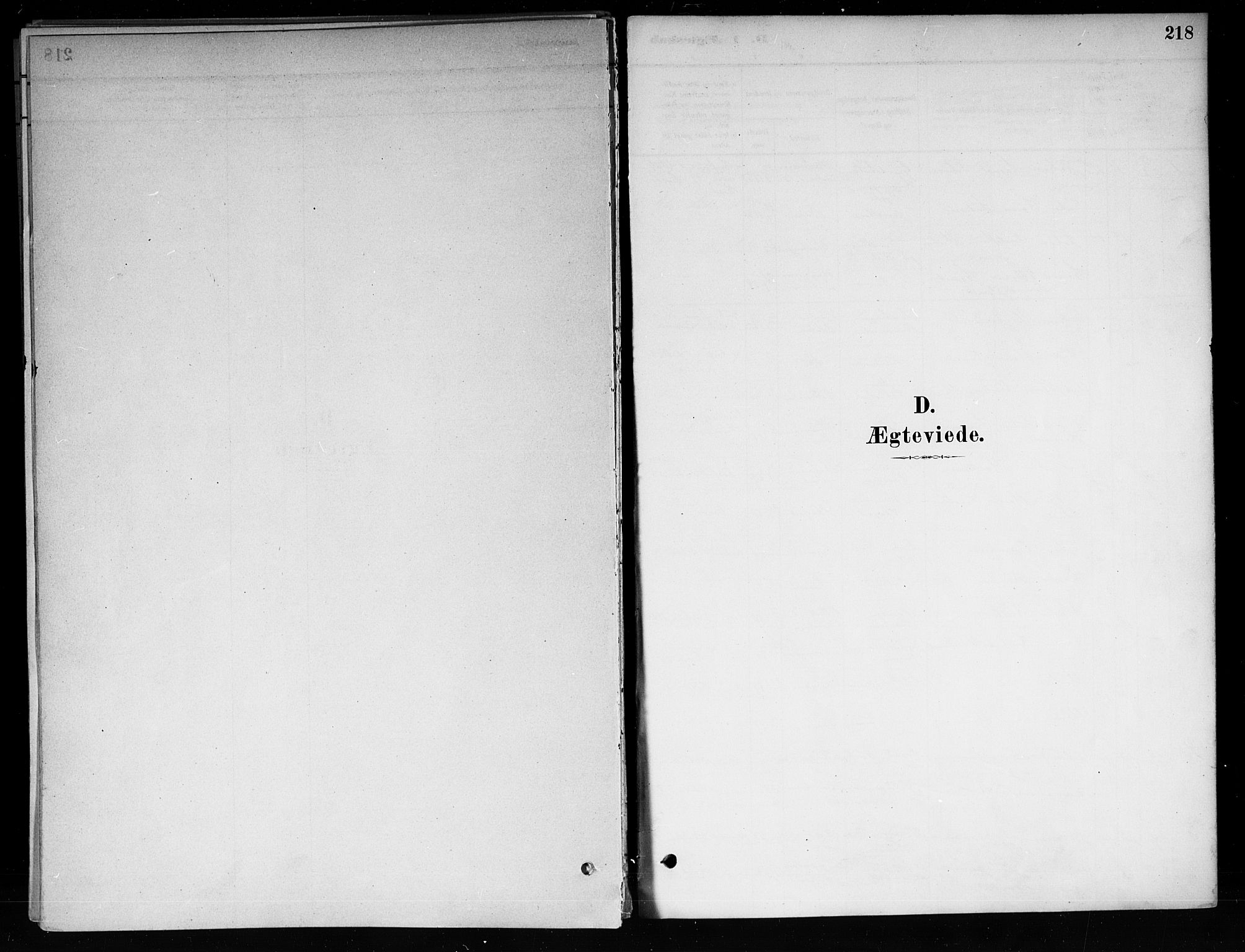 Røyken kirkebøker, SAKO/A-241/F/Fa/L0008: Parish register (official) no. 8, 1880-1897, p. 218