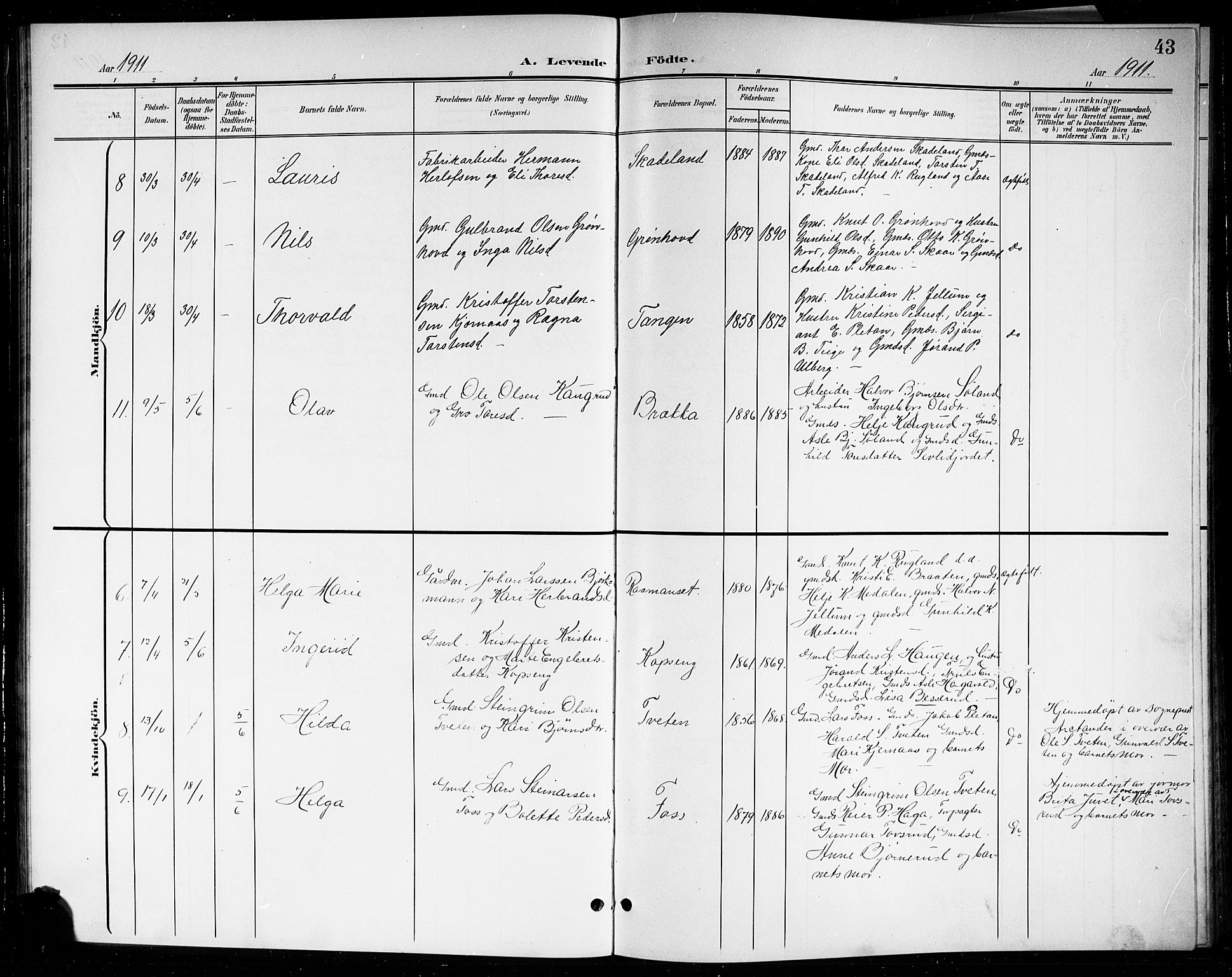 Sigdal kirkebøker, AV/SAKO-A-245/G/Gb/L0003: Parish register (copy) no. II 3, 1901-1916, p. 43