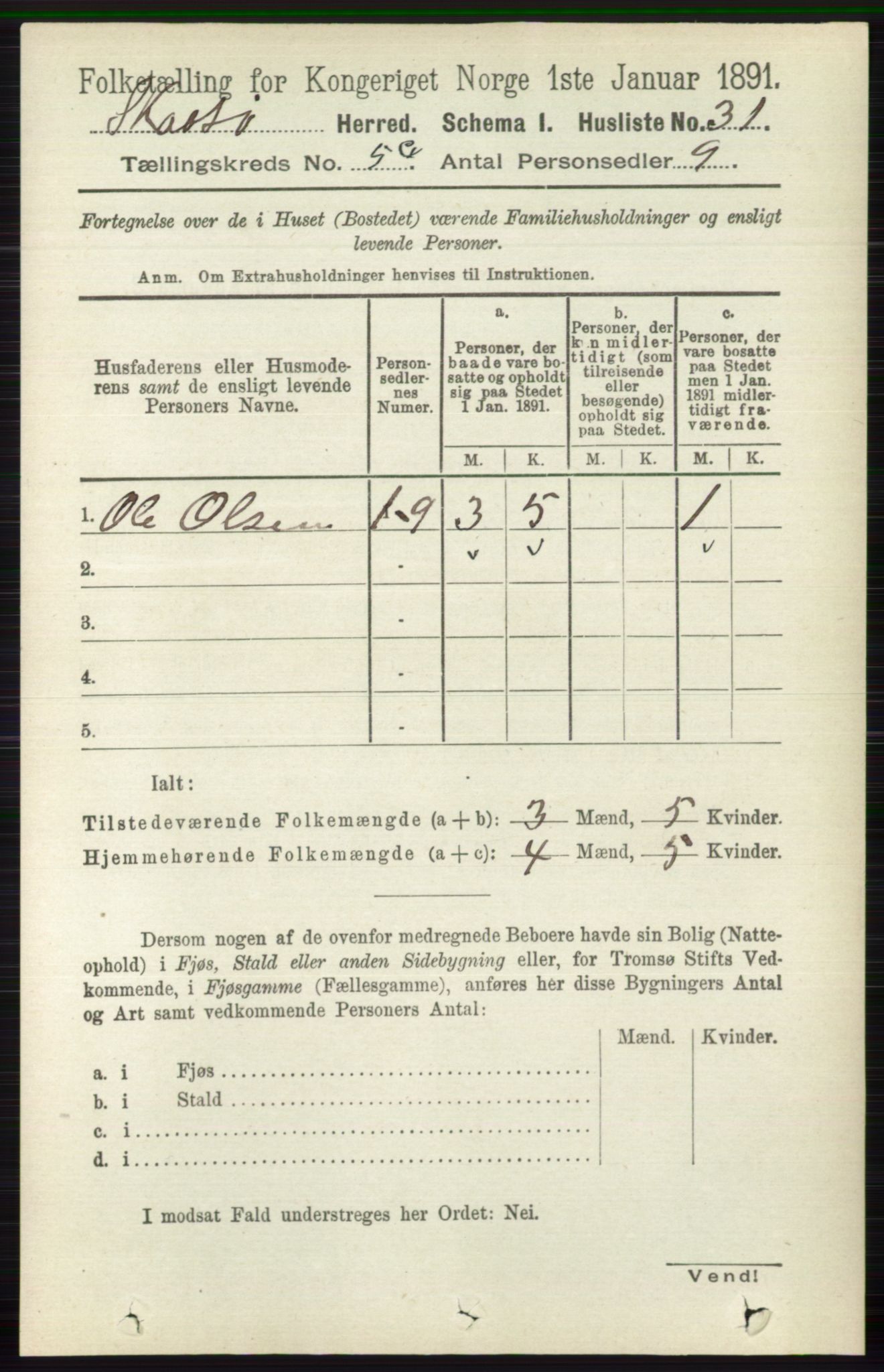 RA, 1891 census for 0815 Skåtøy, 1891, p. 2666