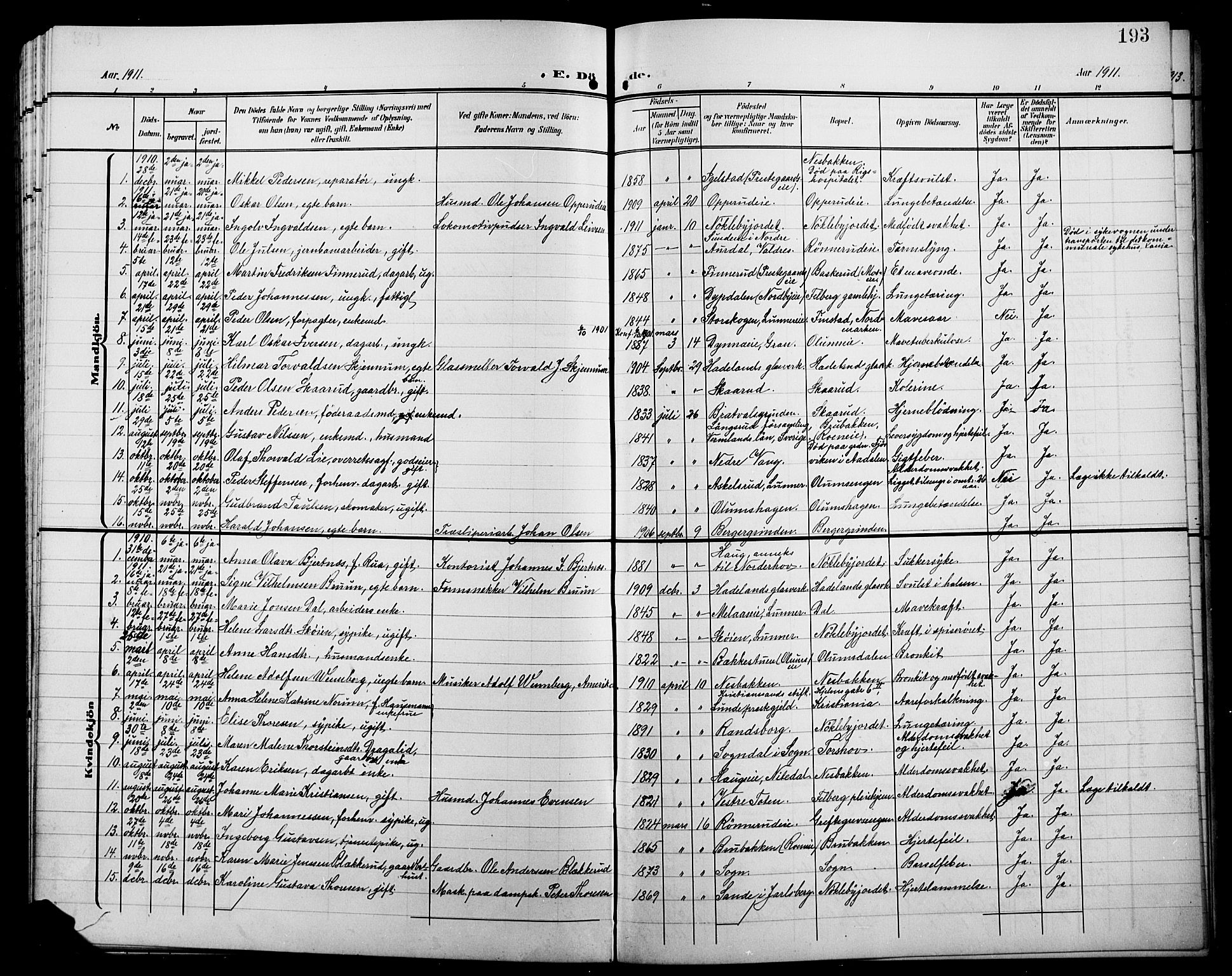 Jevnaker prestekontor, SAH/PREST-116/H/Ha/Hab/L0004: Parish register (copy) no. 4, 1907-1918, p. 193
