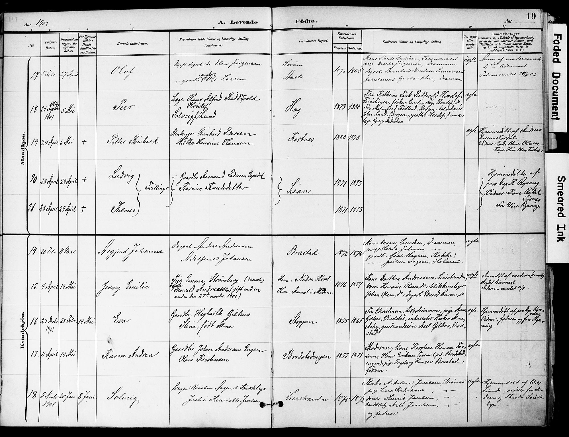 Lier kirkebøker, AV/SAKO-A-230/F/Fa/L0017: Parish register (official) no. I 17, 1901-1908, p. 19
