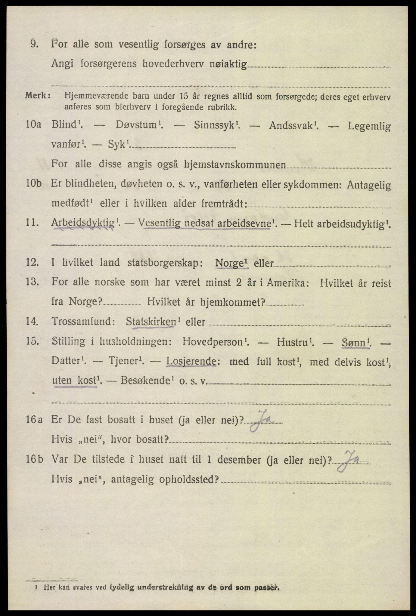 SAK, 1920 census for Hornnes, 1920, p. 2844