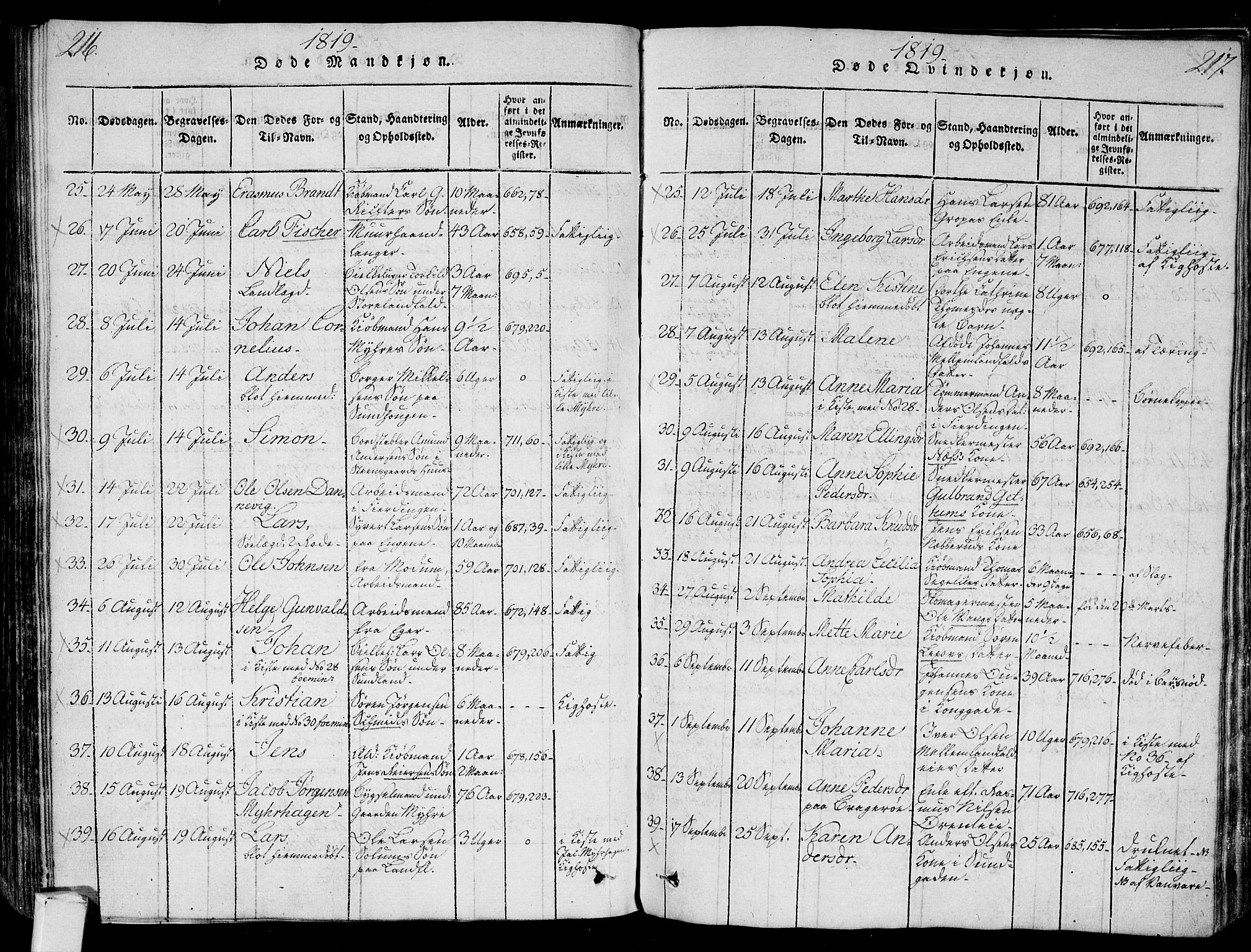 Bragernes kirkebøker, AV/SAKO-A-6/G/Ga/L0001: Parish register (copy) no. 1, 1815-1829, p. 216-217