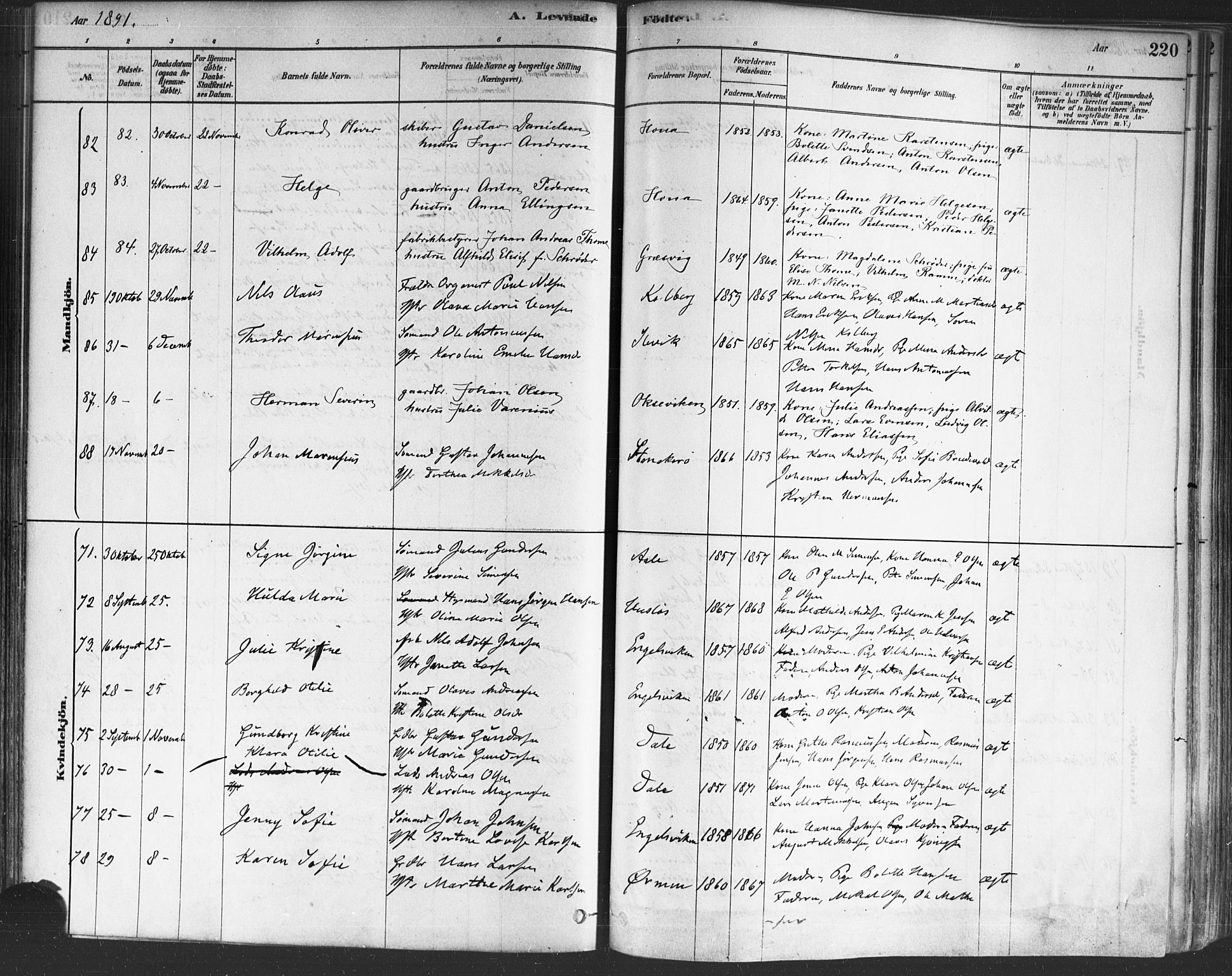 Onsøy prestekontor Kirkebøker, SAO/A-10914/F/Fa/L0005: Parish register (official) no. I 5, 1878-1898, p. 220