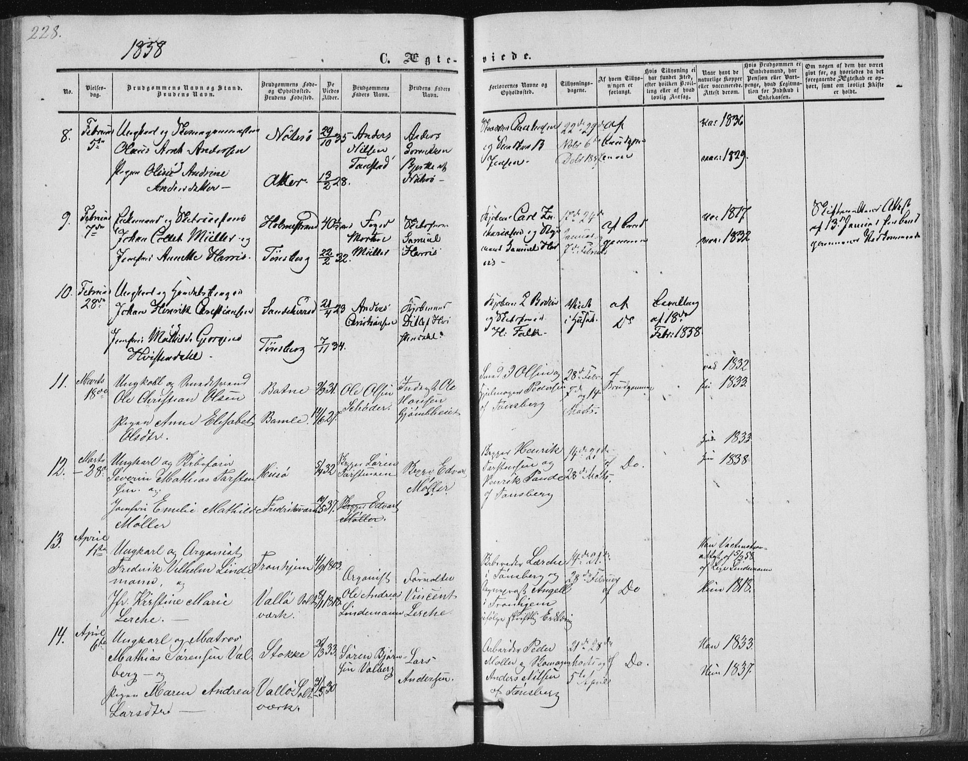 Tønsberg kirkebøker, AV/SAKO-A-330/F/Fa/L0008: Parish register (official) no. I 8, 1855-1864, p. 228