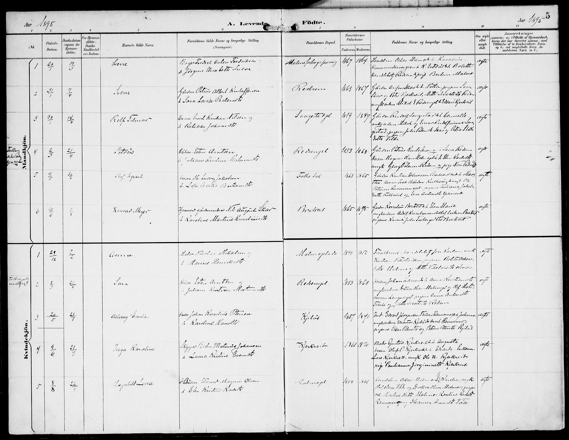 Ministerialprotokoller, klokkerbøker og fødselsregistre - Nord-Trøndelag, SAT/A-1458/745/L0430: Parish register (official) no. 745A02, 1895-1913, p. 5