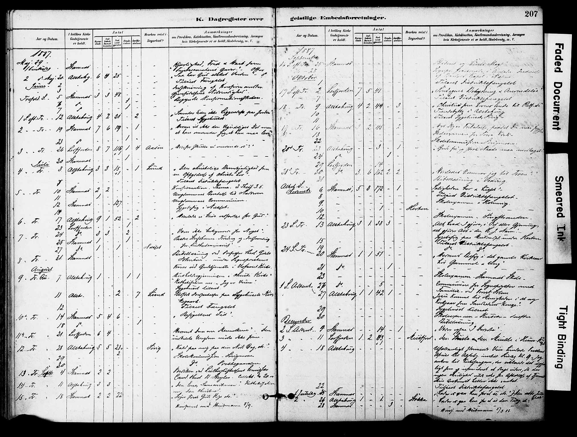 Ministerialprotokoller, klokkerbøker og fødselsregistre - Nordland, AV/SAT-A-1459/830/L0450: Parish register (official) no. 830A14, 1879-1896, p. 207