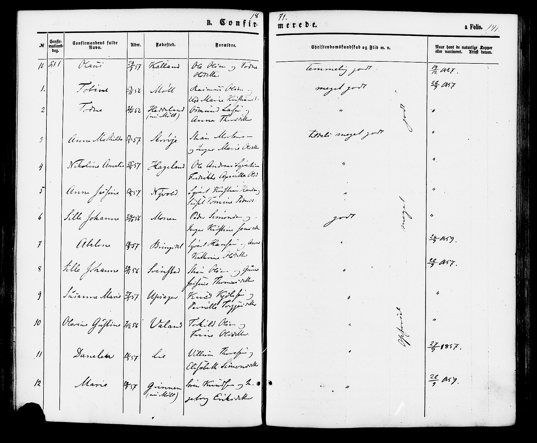 Holum sokneprestkontor, AV/SAK-1111-0022/F/Fa/Faa/L0006: Parish register (official) no. A 6, 1865-1883, p. 141