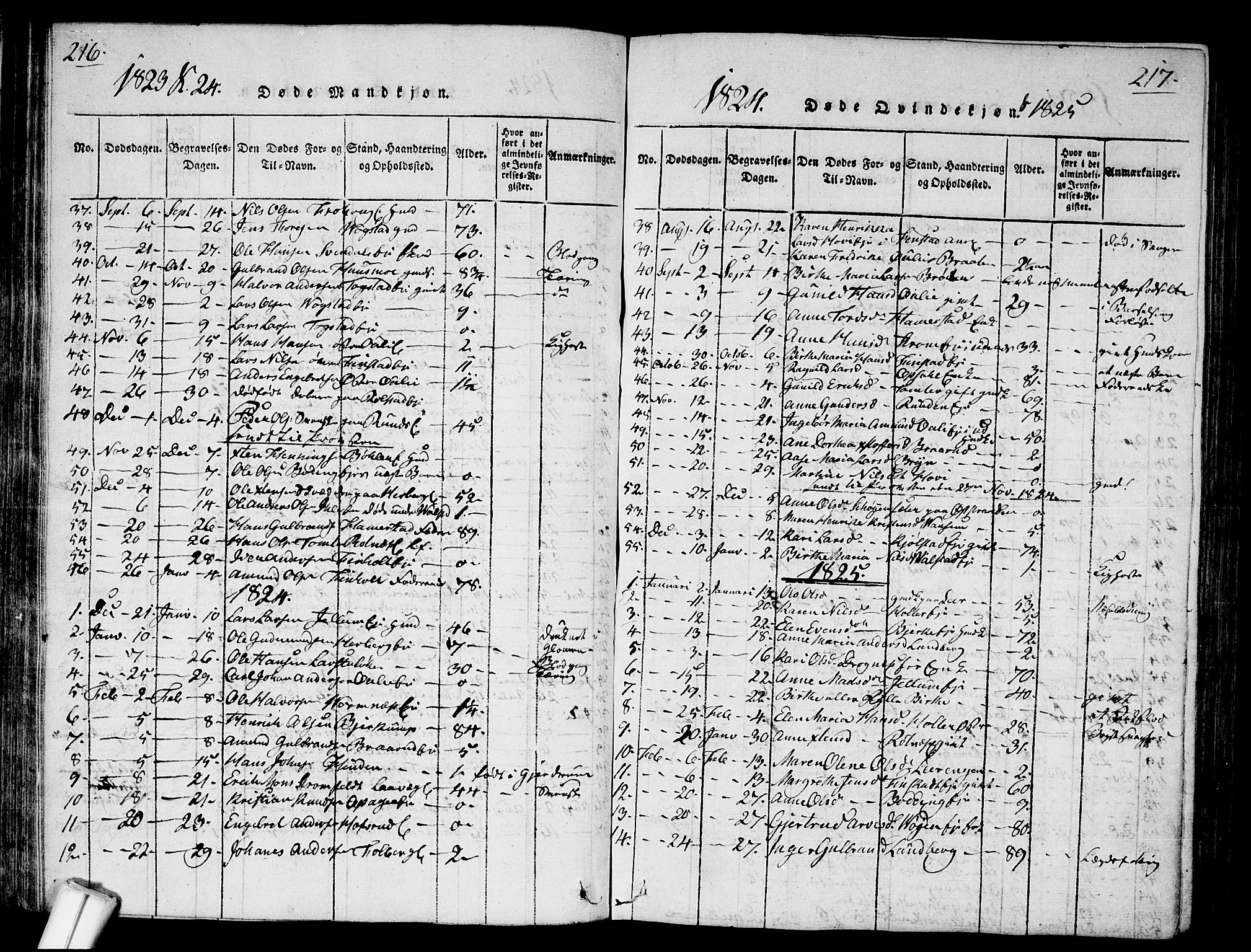 Nes prestekontor Kirkebøker, SAO/A-10410/G/Ga/L0001: Parish register (copy) no. I 1, 1815-1835, p. 216-217