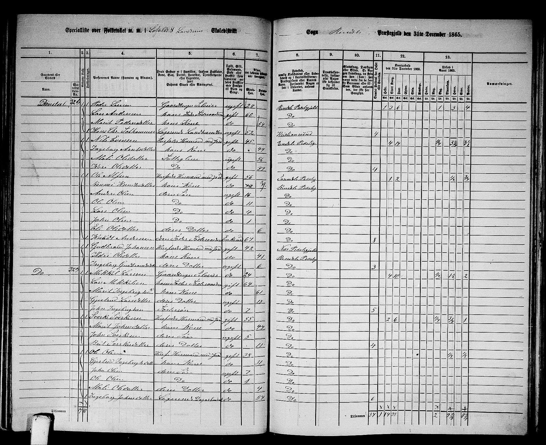 RA, 1865 census for Rindal, 1865, p. 39