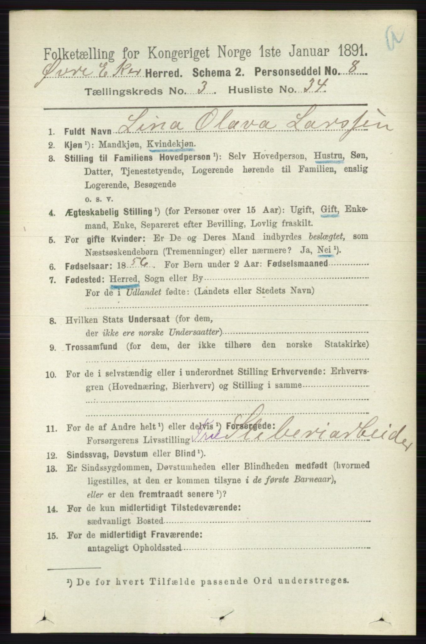 RA, 1891 census for 0624 Øvre Eiker, 1891, p. 1199