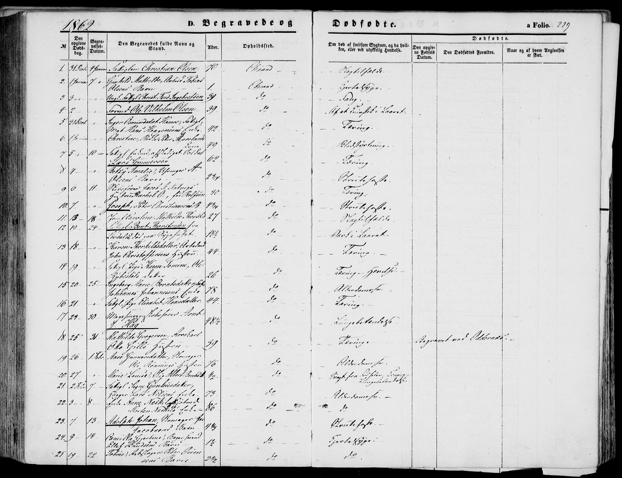 Kristiansand domprosti, SAK/1112-0006/F/Fb/L0012: Parish register (copy) no. B 12, 1861-1870, p. 229