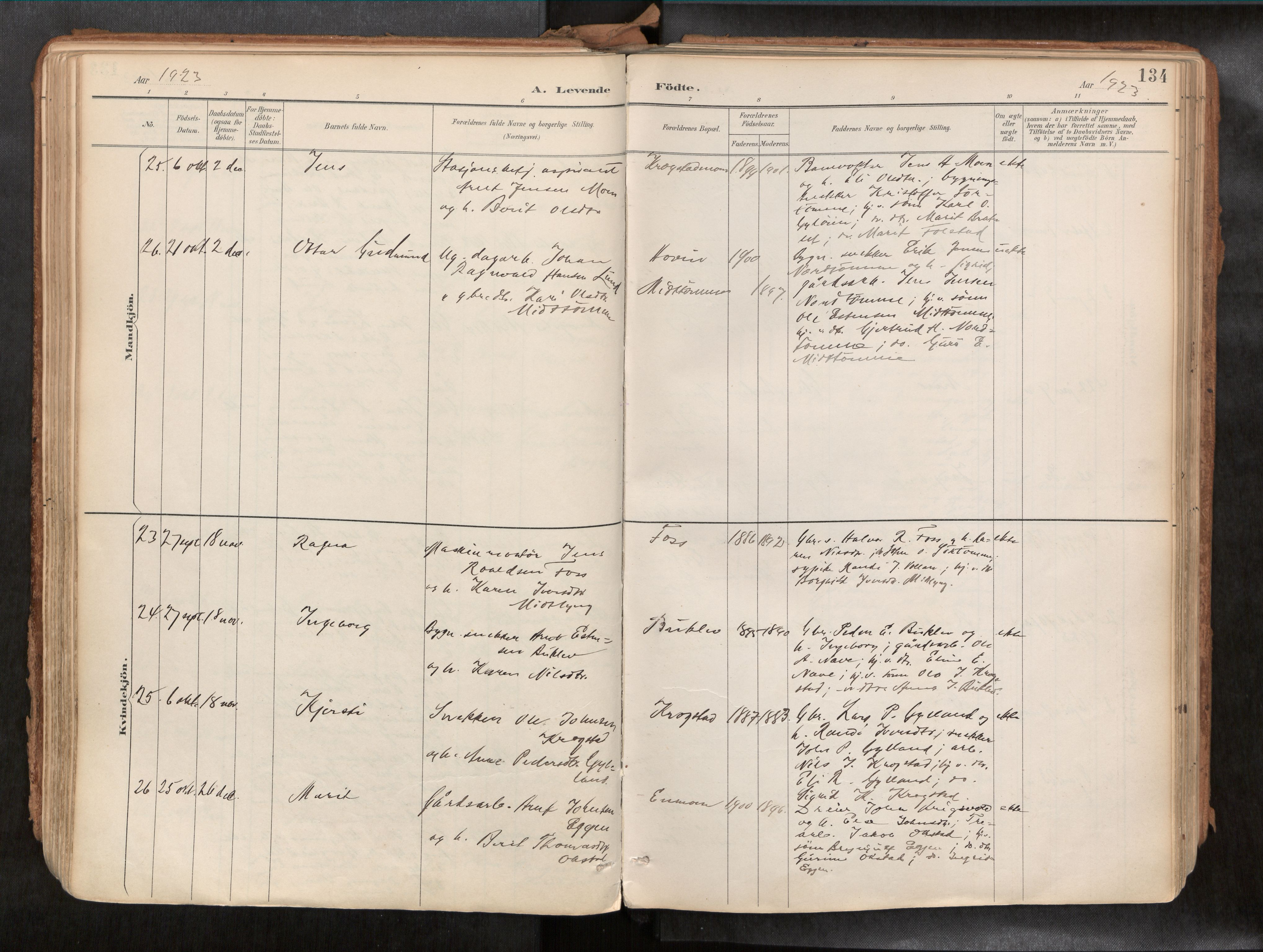 Ministerialprotokoller, klokkerbøker og fødselsregistre - Sør-Trøndelag, SAT/A-1456/692/L1105b: Parish register (official) no. 692A06, 1891-1934, p. 134