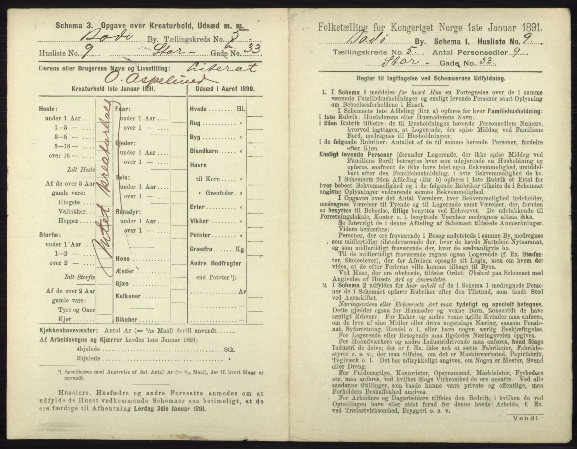 RA, 1891 census for 1804 Bodø, 1891, p. 3819