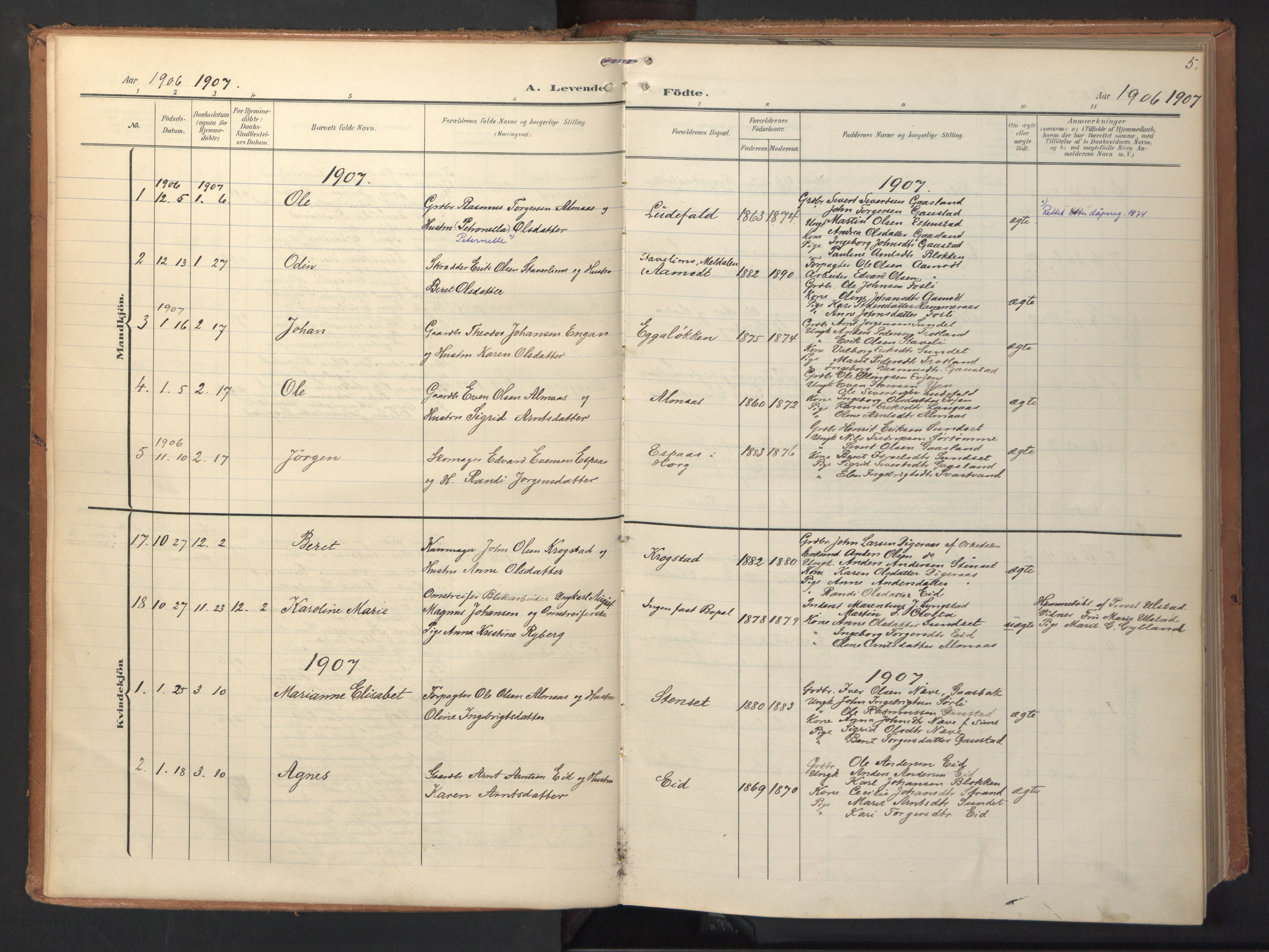 Ministerialprotokoller, klokkerbøker og fødselsregistre - Sør-Trøndelag, AV/SAT-A-1456/694/L1128: Parish register (official) no. 694A02, 1906-1931, p. 5