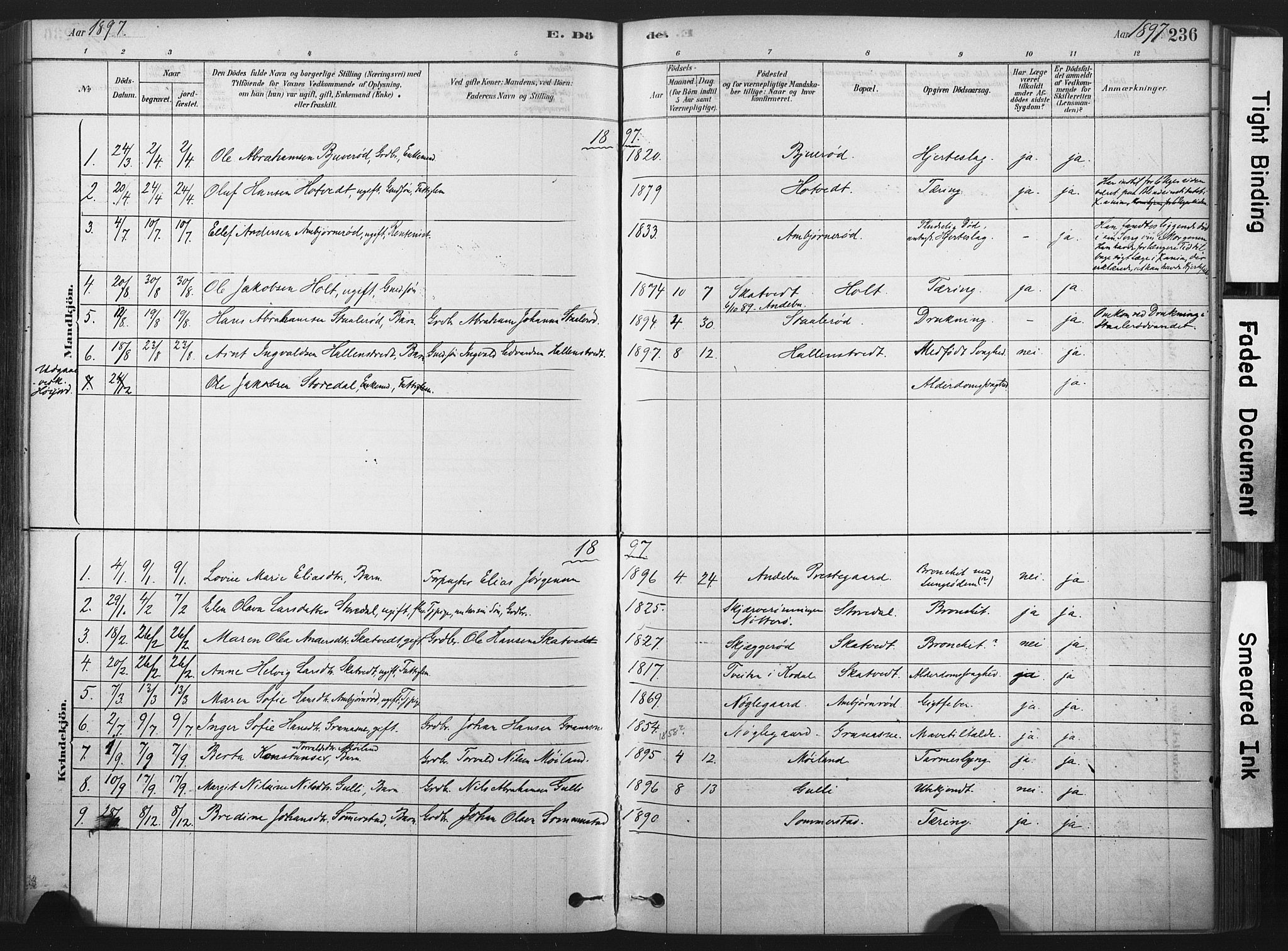 Andebu kirkebøker, AV/SAKO-A-336/F/Fa/L0007: Parish register (official) no. 7, 1878-1899, p. 236