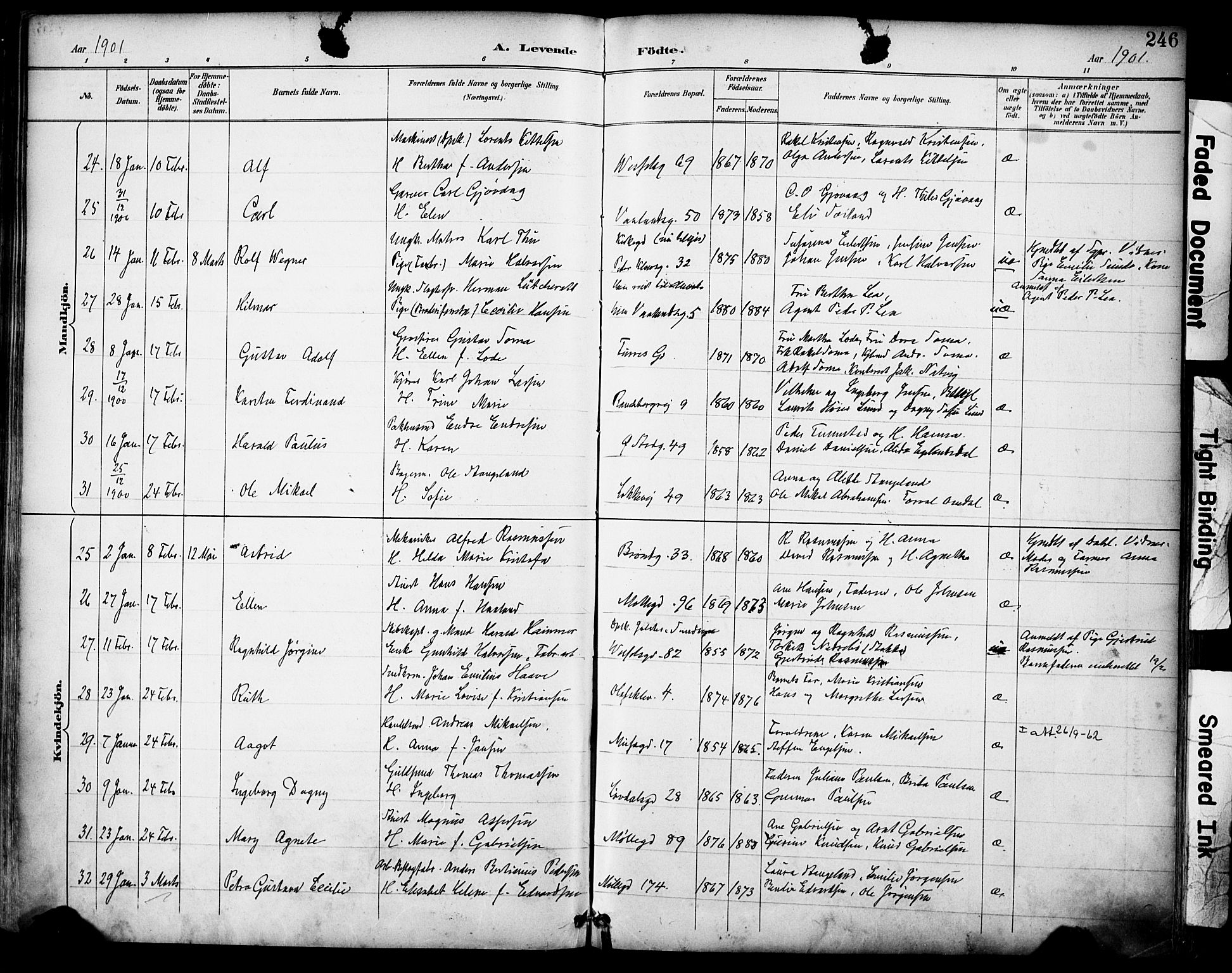 Domkirken sokneprestkontor, SAST/A-101812/001/30/30BA/L0030: Parish register (official) no. A 29, 1889-1902, p. 246