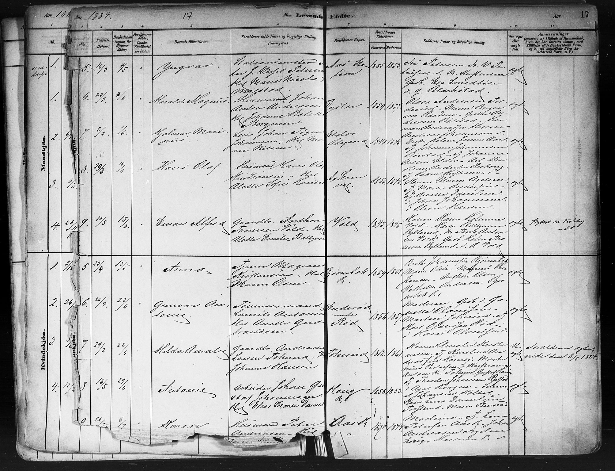 Ås prestekontor Kirkebøker, AV/SAO-A-10894/F/Fa/L0009: Parish register (official) no. I 9, 1881-1900, p. 17