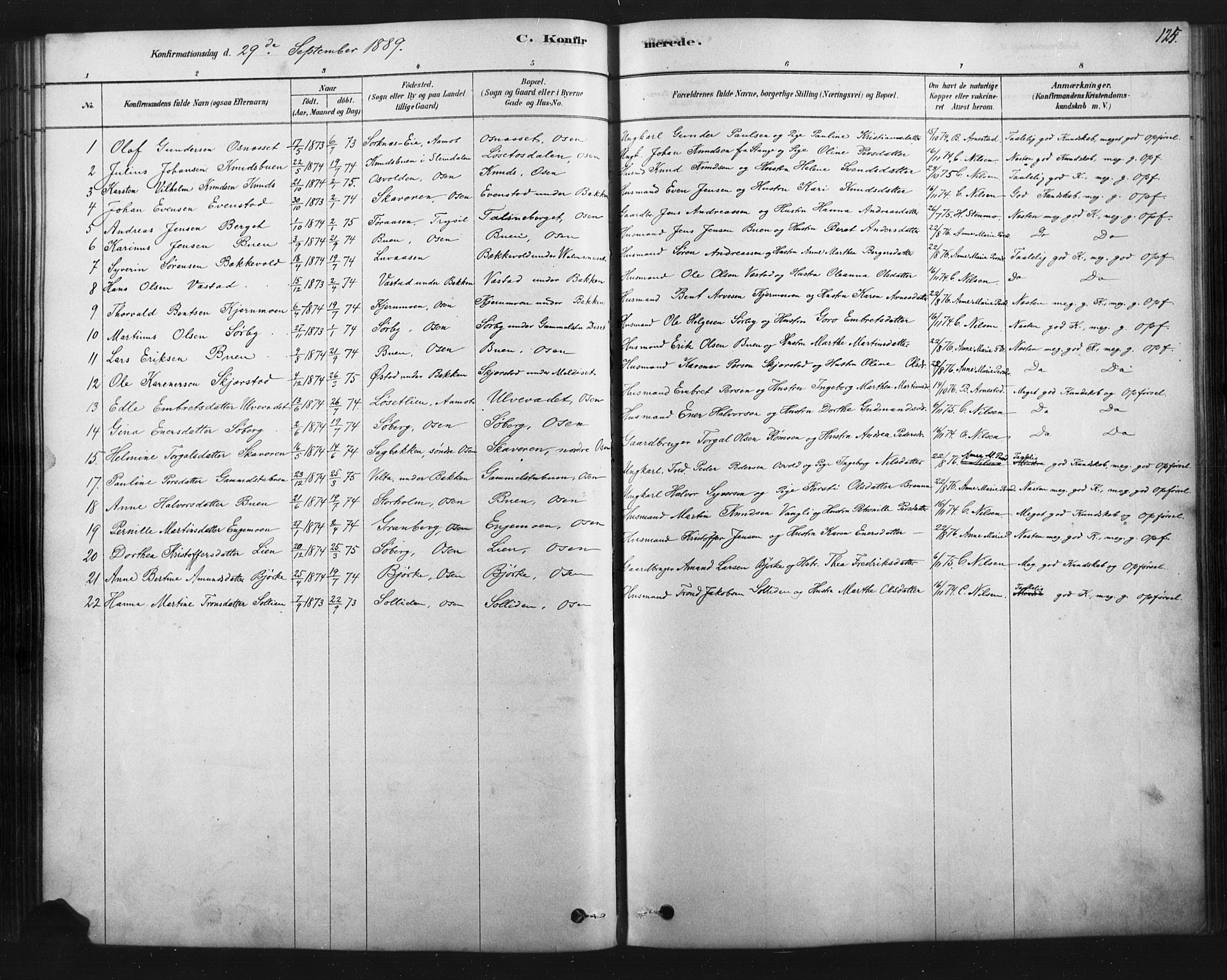 Åmot prestekontor, Hedmark, AV/SAH-PREST-056/H/Ha/Haa/L0012: Parish register (official) no. 12, 1878-1901, p. 125