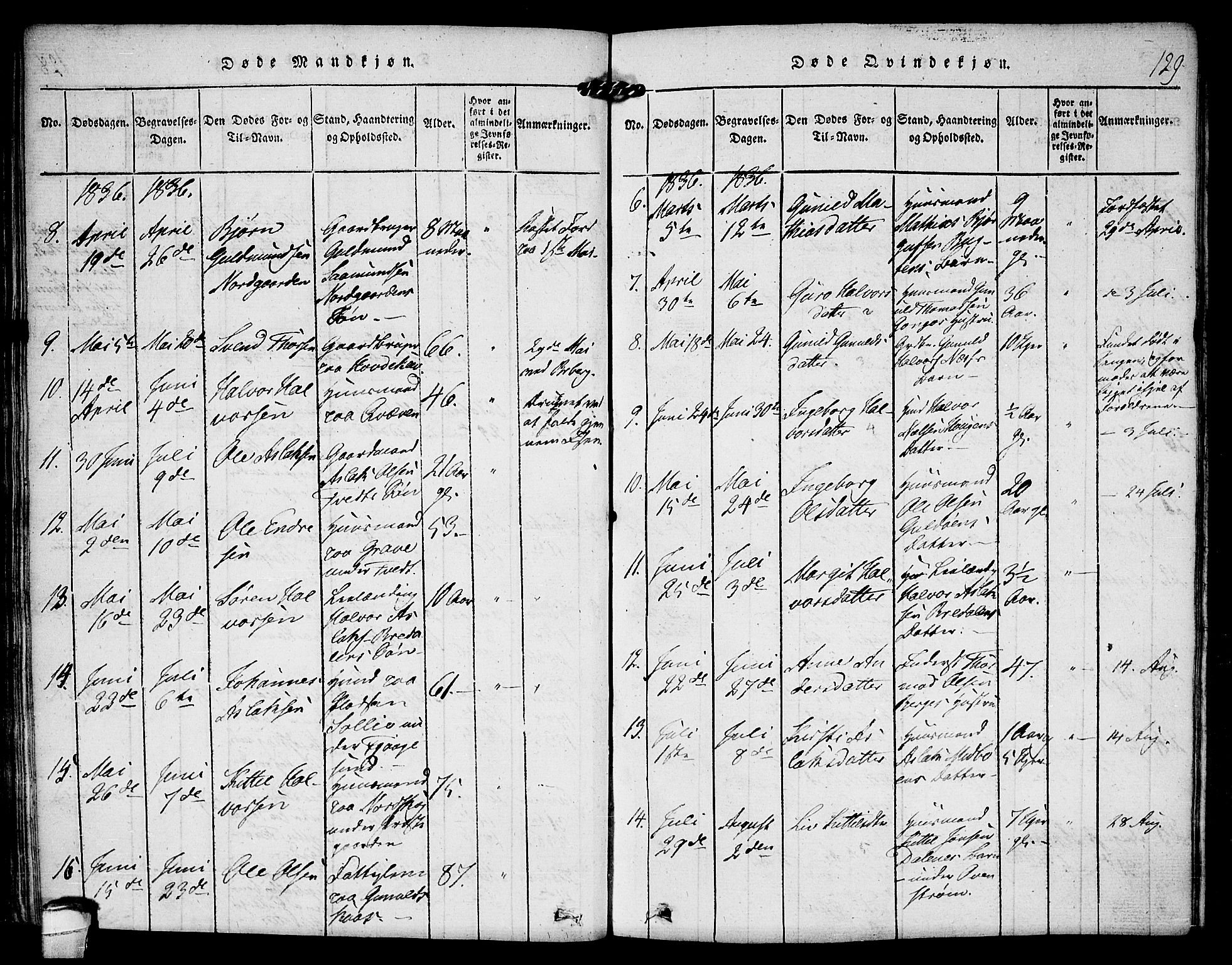 Kviteseid kirkebøker, SAKO/A-276/F/Fa/L0005: Parish register (official) no. I 5, 1815-1836, p. 129