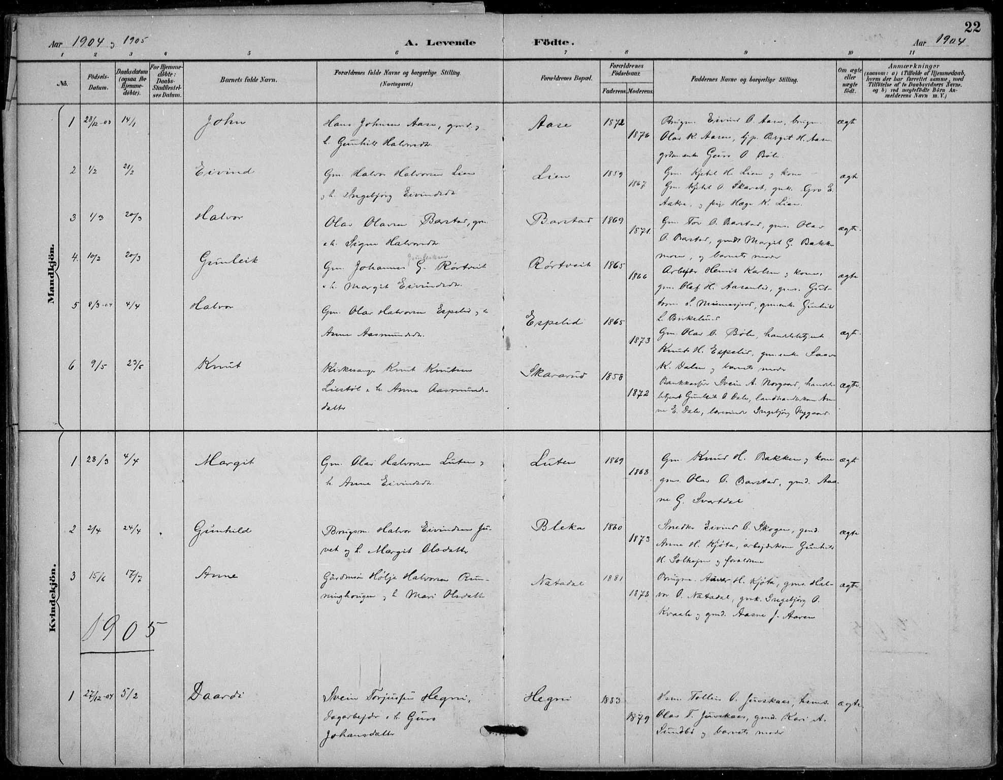 Seljord kirkebøker, SAKO/A-20/F/Fb/L0002: Parish register (official) no. II 2, 1887-1917, p. 22