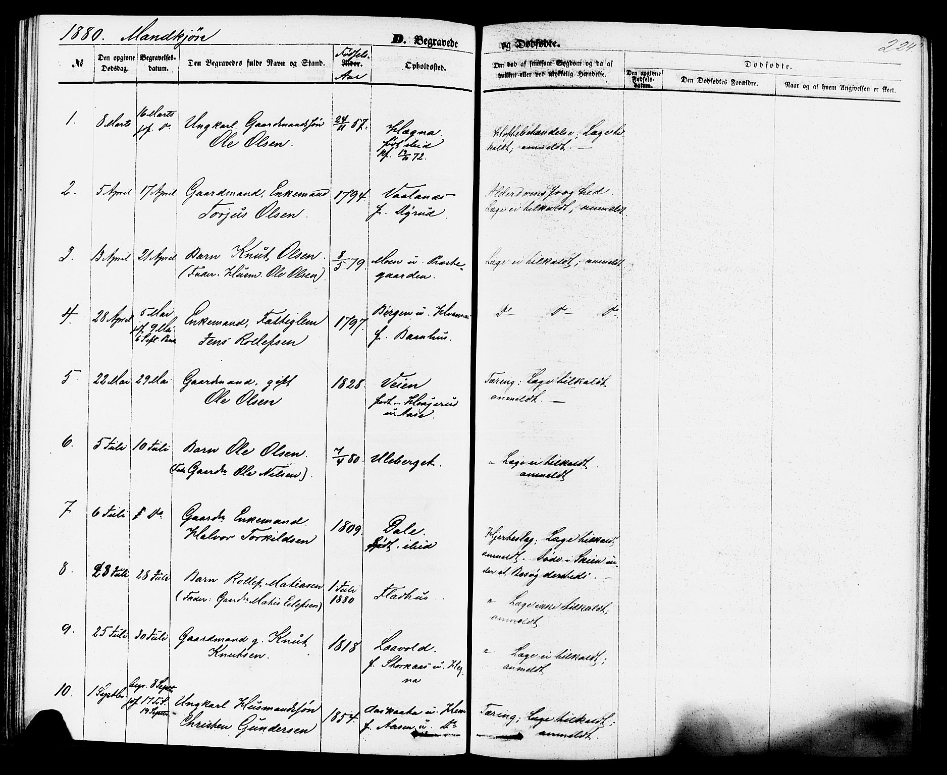Sauherad kirkebøker, SAKO/A-298/F/Fa/L0008: Parish register (official) no. I 8, 1873-1886, p. 224