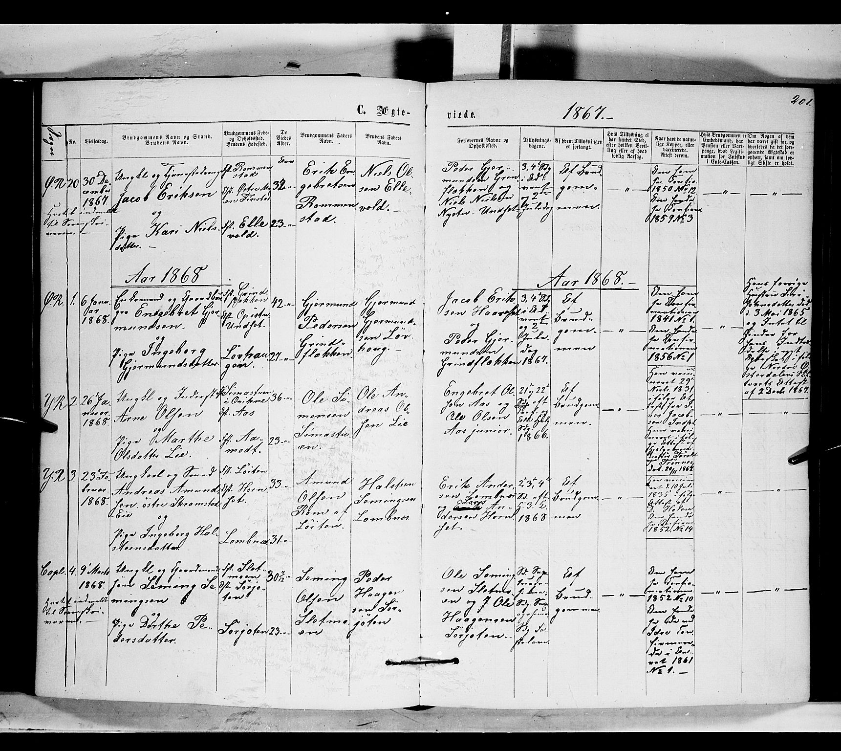 Rendalen prestekontor, SAH/PREST-054/H/Ha/Haa/L0006: Parish register (official) no. 6, 1867-1877, p. 201