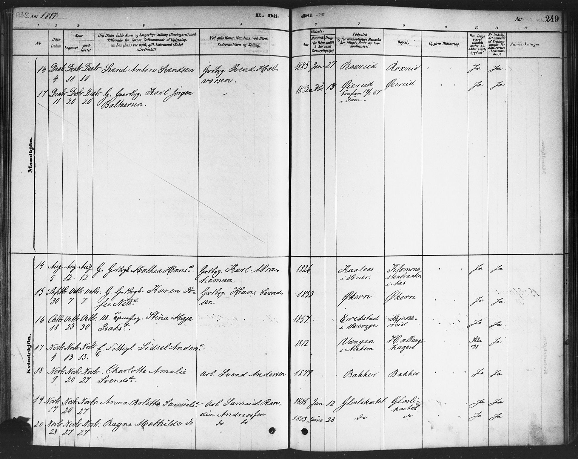 Drøbak prestekontor Kirkebøker, SAO/A-10142a/F/Fc/L0002: Parish register (official) no. III 2, 1878-1891, p. 249