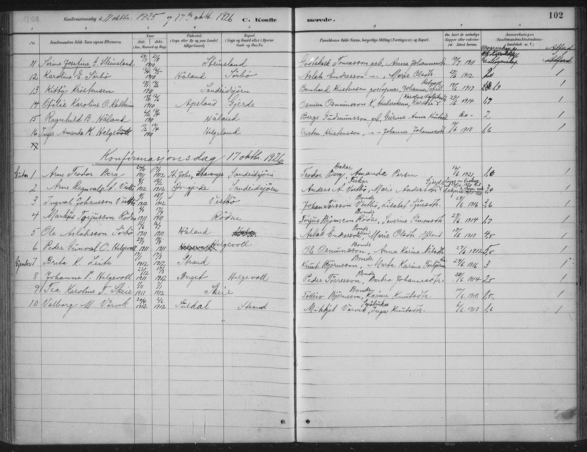 Vikedal sokneprestkontor, AV/SAST-A-101840/01/IV: Parish register (official) no. A 11, 1884-1933, p. 102