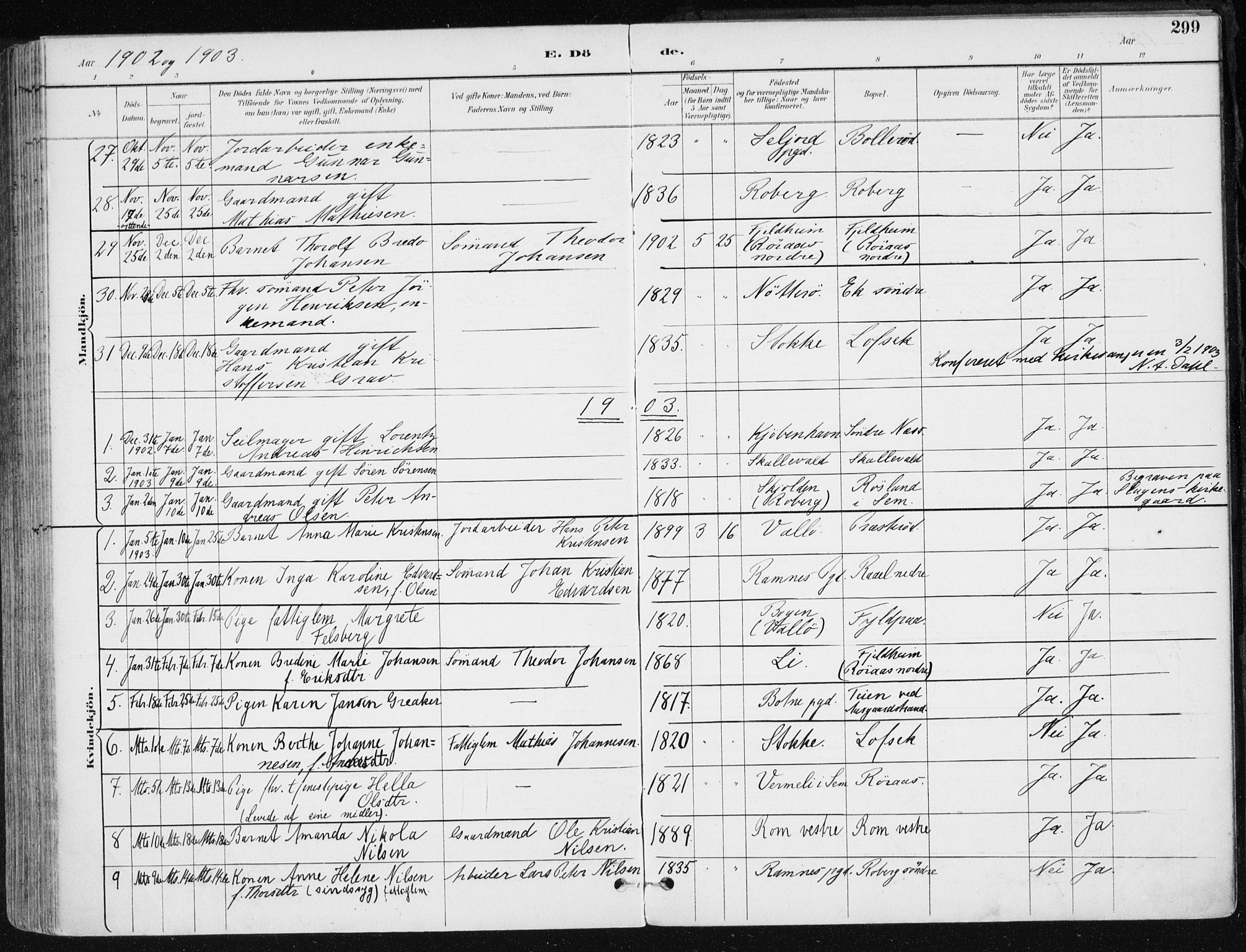 Sem kirkebøker, AV/SAKO-A-5/F/Fb/L0005: Parish register (official) no. II 5, 1892-1904, p. 299