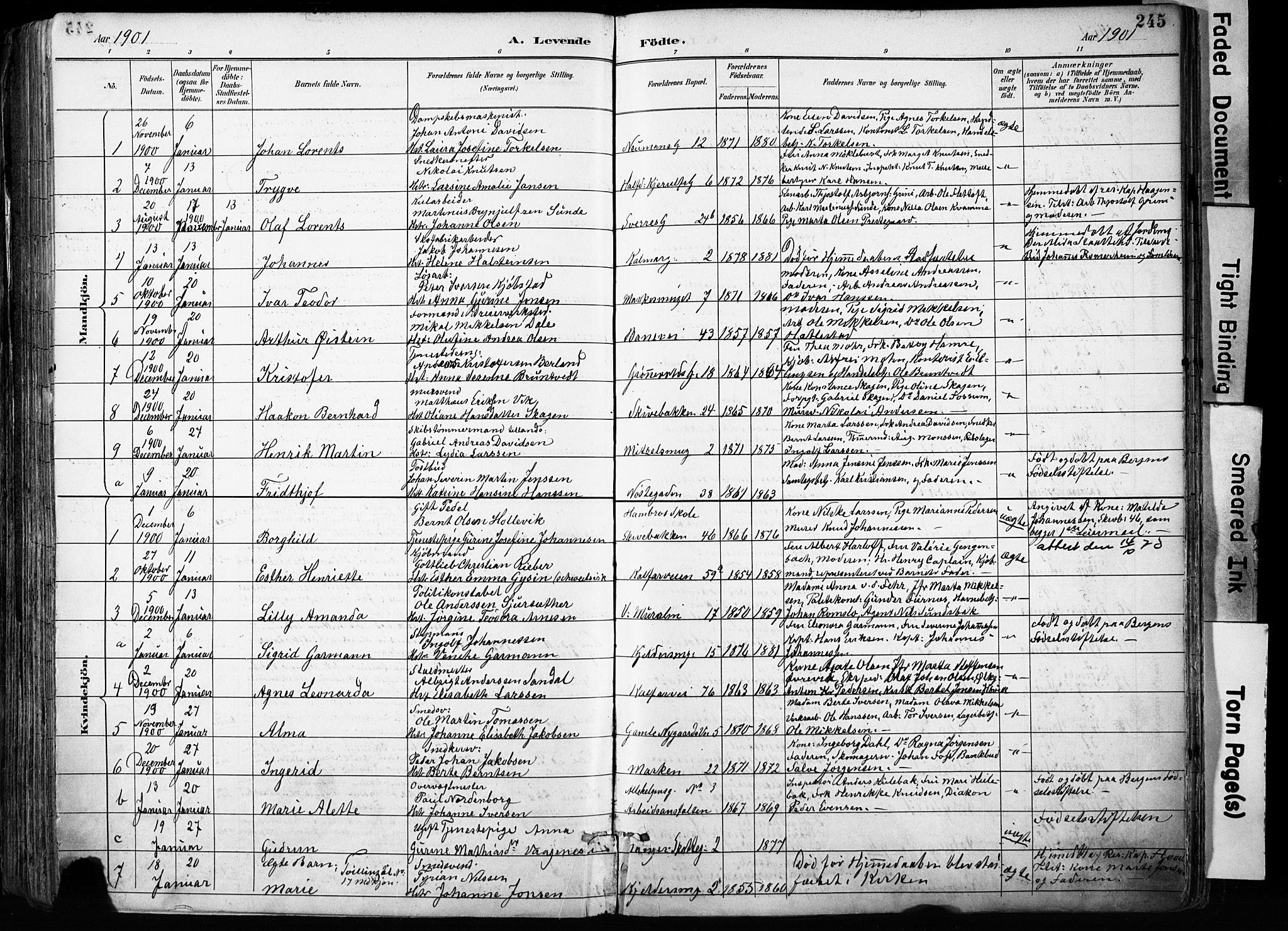 Domkirken sokneprestembete, SAB/A-74801/H/Haa/L0024: Parish register (official) no. B 7, 1888-1903, p. 245