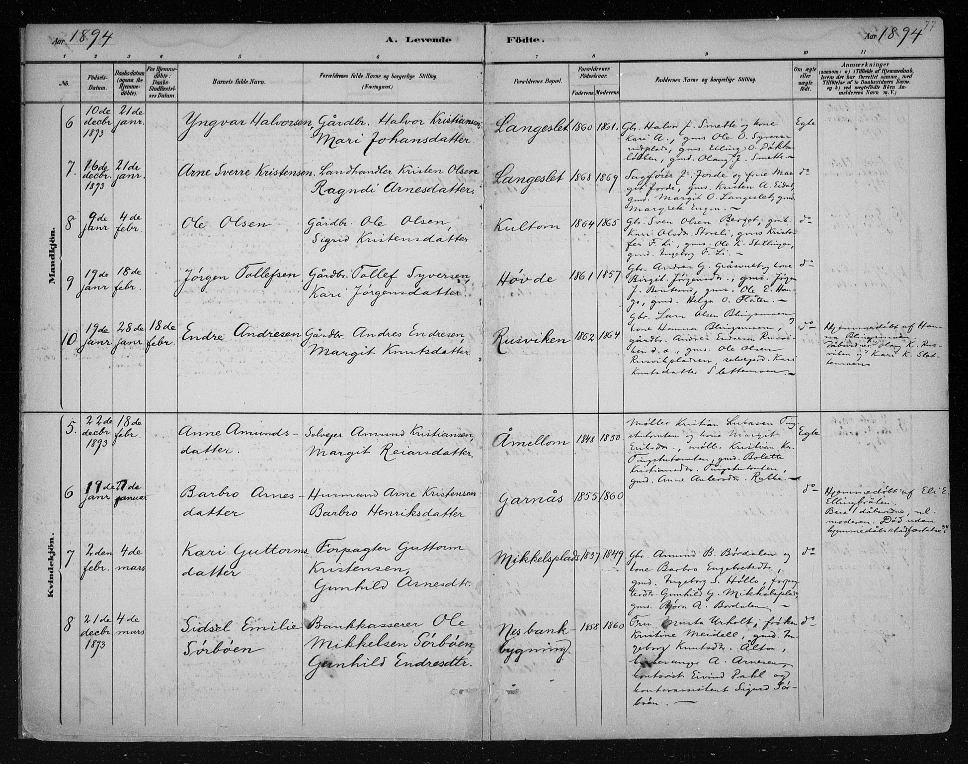 Nes kirkebøker, AV/SAKO-A-236/F/Fa/L0011: Parish register (official) no. 11, 1881-1912, p. 77