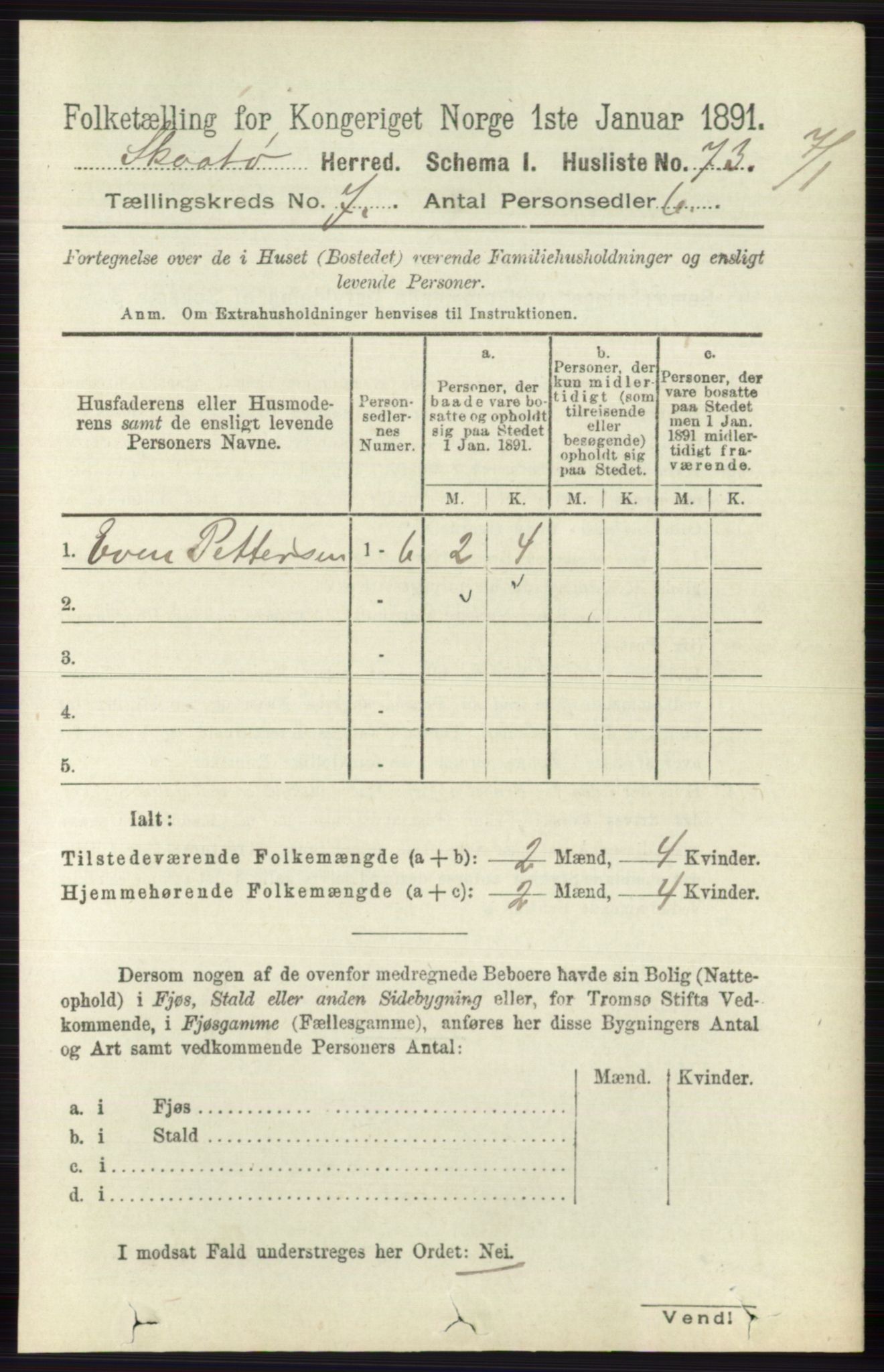 RA, 1891 census for 0815 Skåtøy, 1891, p. 3071