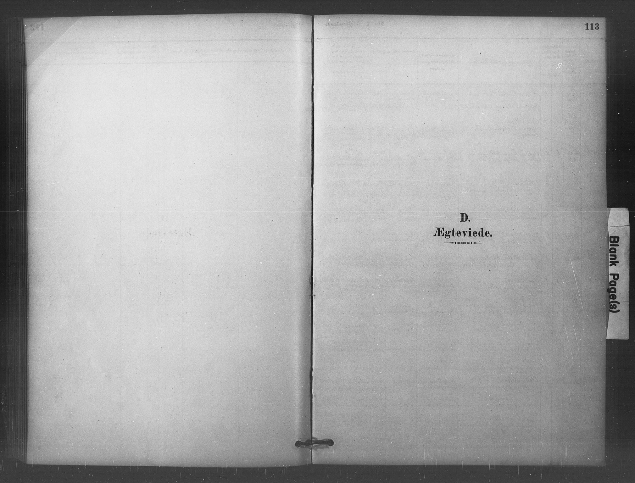 Eidsberg prestekontor Kirkebøker, SAO/A-10905/F/Fc/L0001: Parish register (official) no. III 1, 1879-1905, p. 113