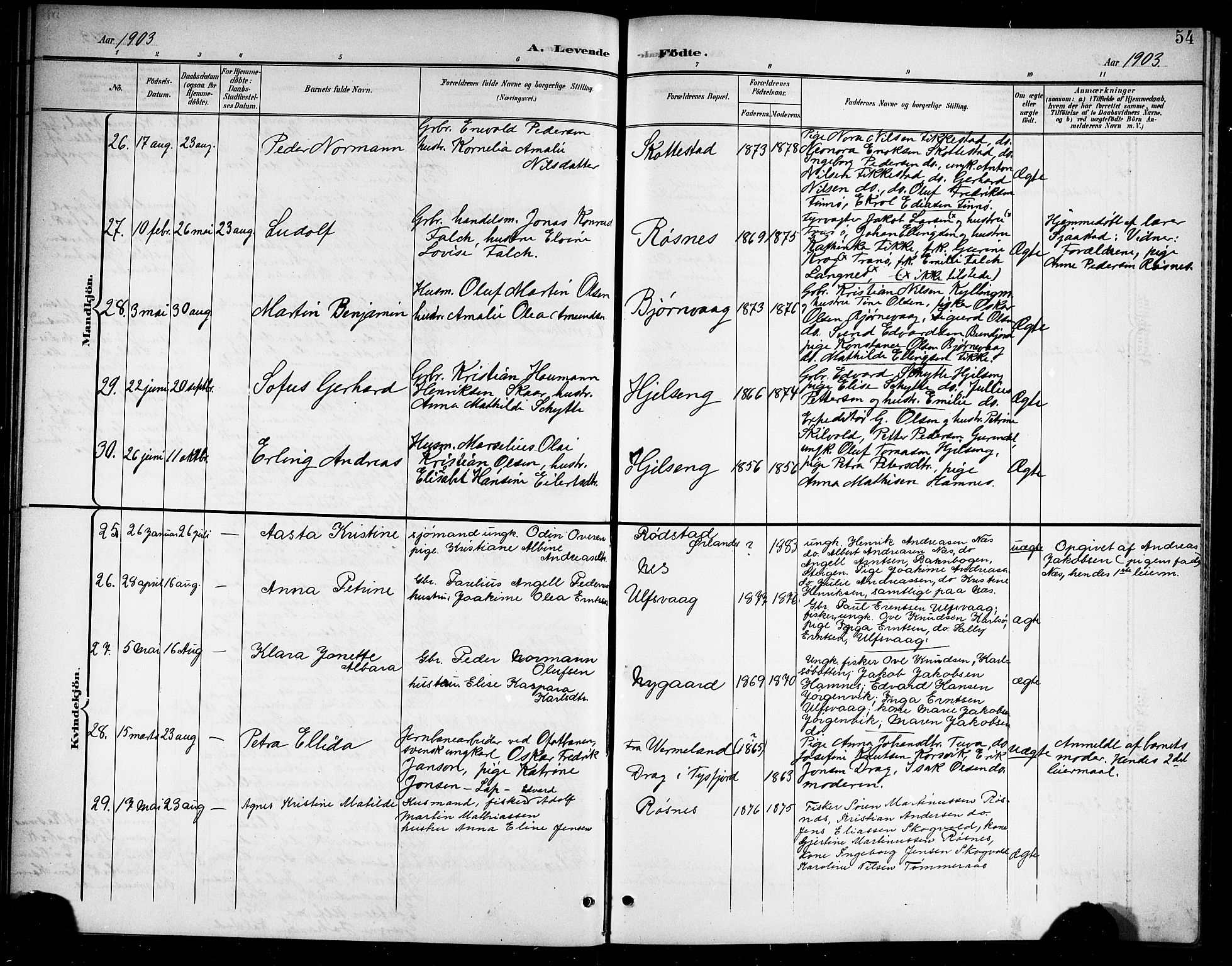 Ministerialprotokoller, klokkerbøker og fødselsregistre - Nordland, AV/SAT-A-1459/859/L0860: Parish register (copy) no. 859C06, 1899-1909, p. 54