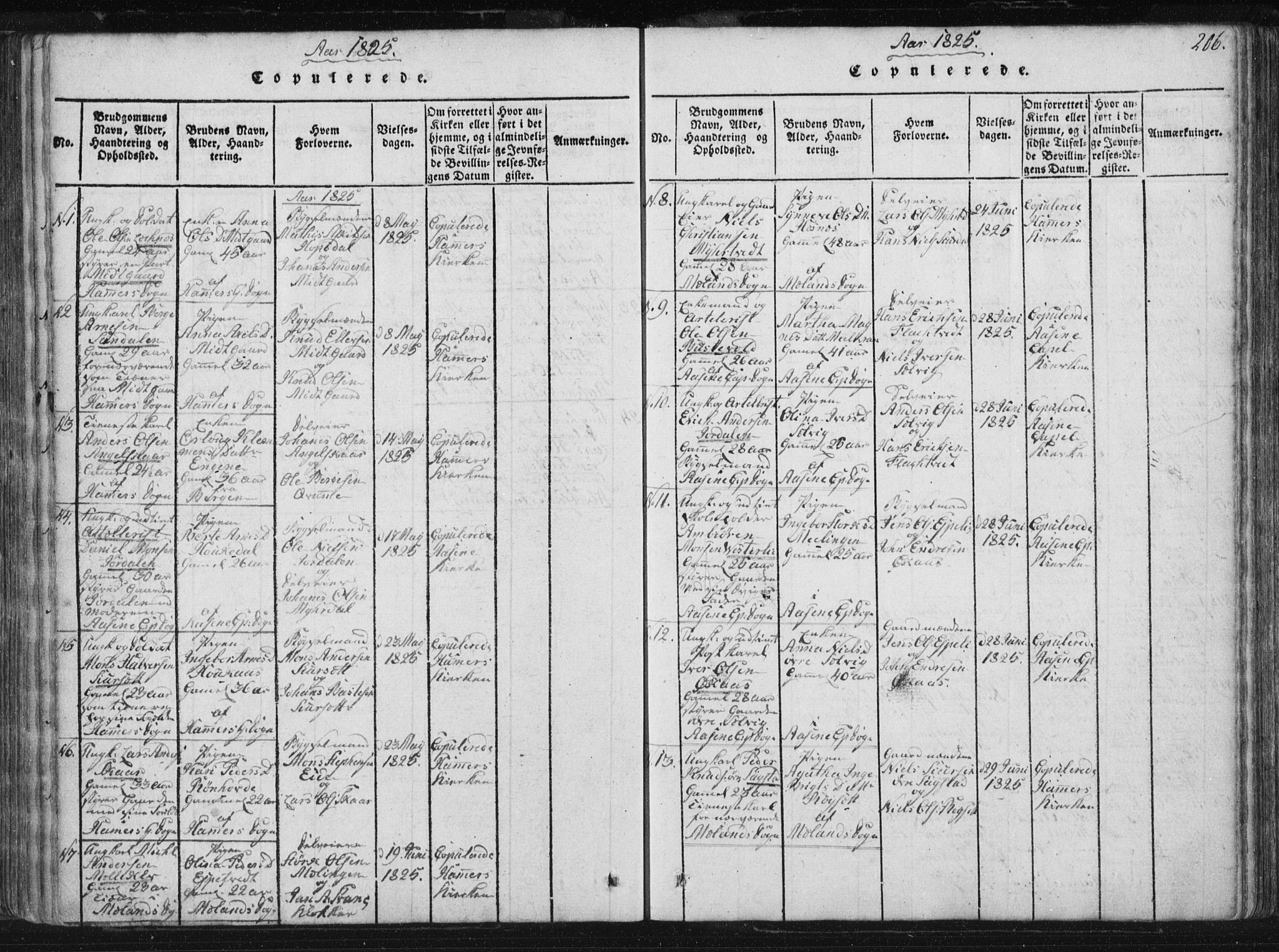 Hamre sokneprestembete, SAB/A-75501/H/Ha/Haa/Haaa/L0010: Parish register (official) no. A 10, 1816-1826, p. 206