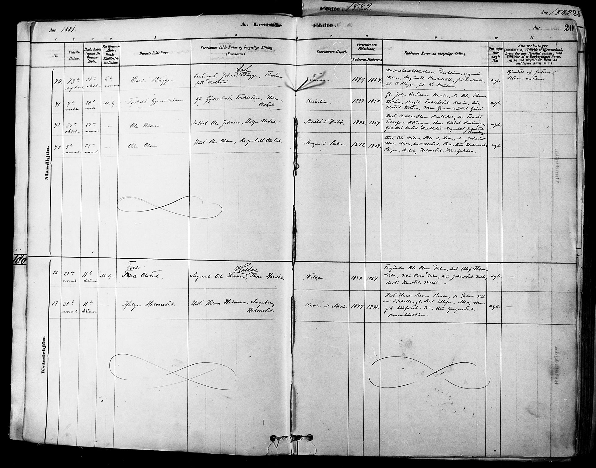 Heddal kirkebøker, AV/SAKO-A-268/F/Fa/L0008: Parish register (official) no. I 8, 1878-1903, p. 20