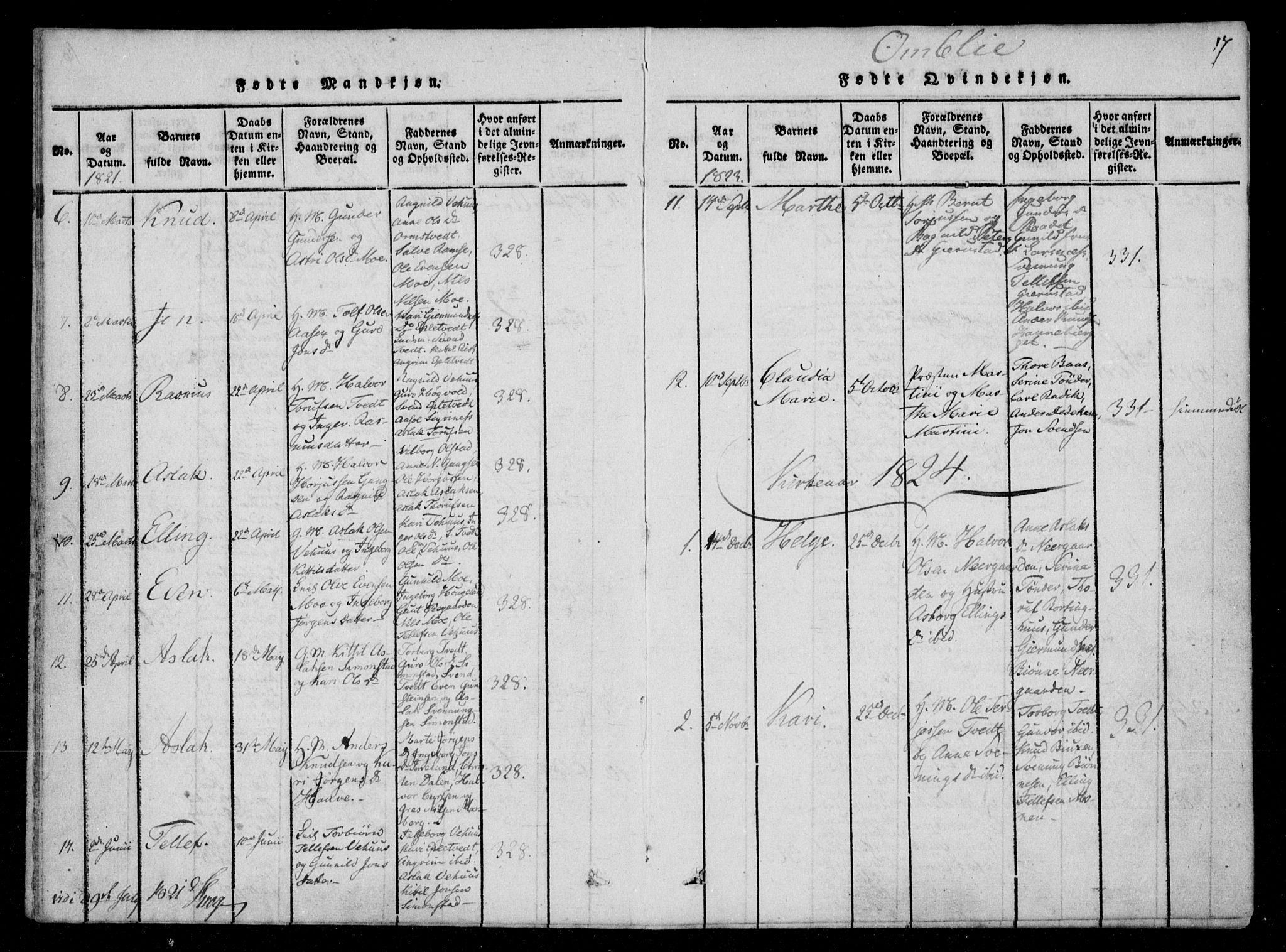Åmli sokneprestkontor, AV/SAK-1111-0050/F/Fa/Fac/L0006: Parish register (official) no. A 6, 1816-1829, p. 17