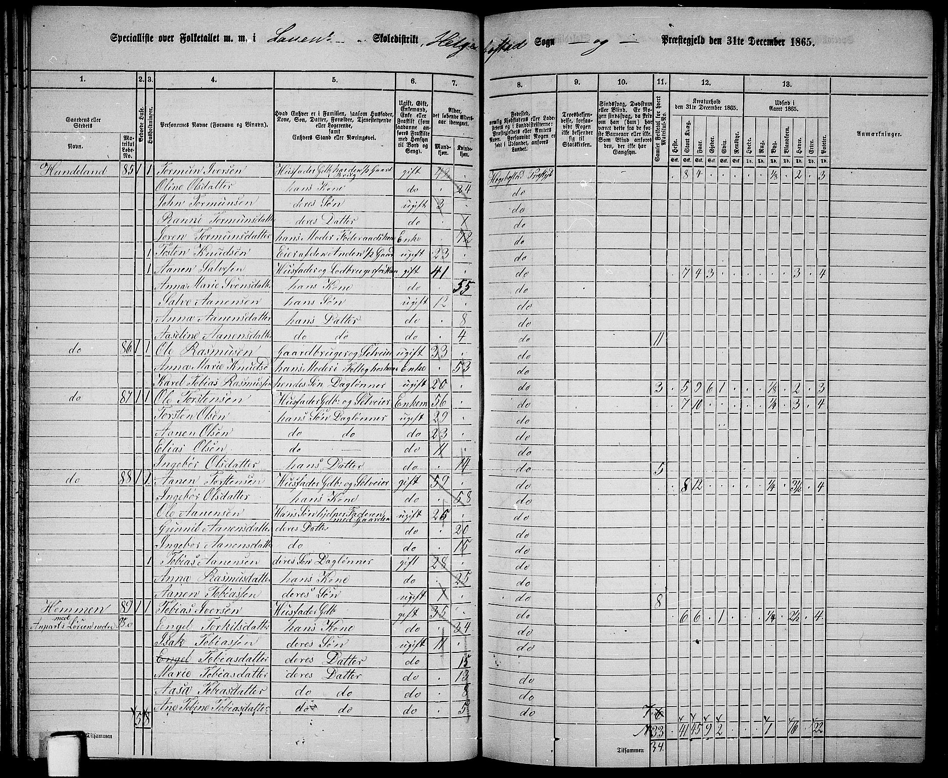 RA, 1865 census for Hægebostad, 1865, p. 50