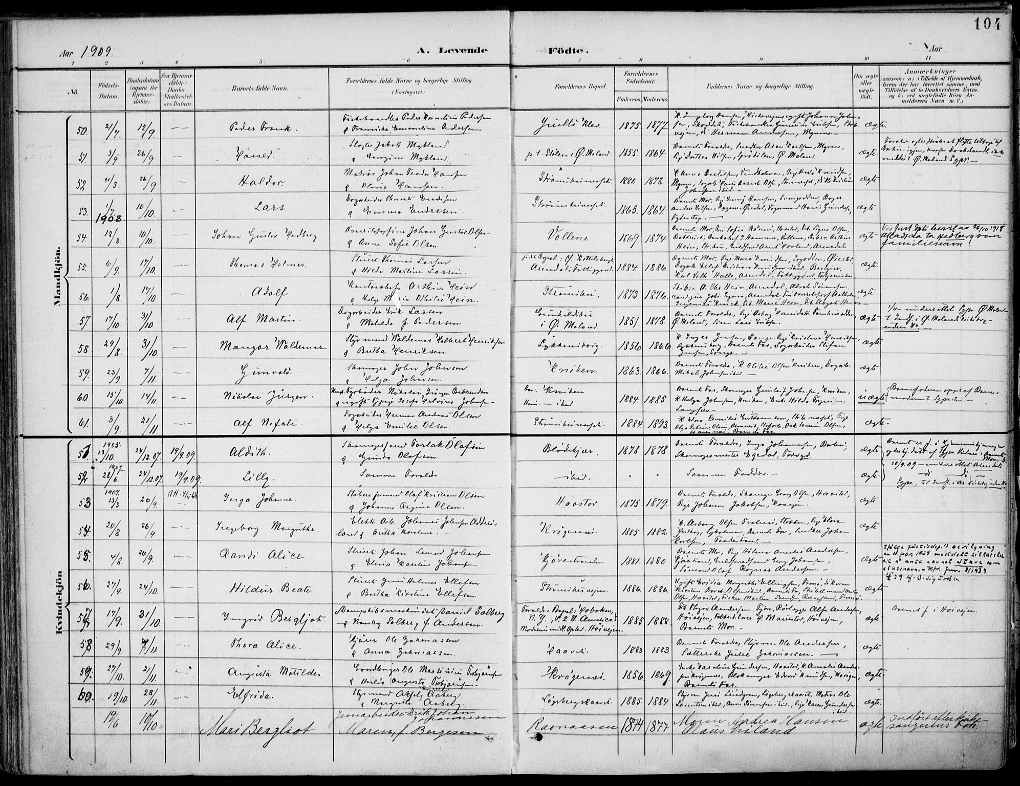 Barbu sokneprestkontor, AV/SAK-1111-0003/F/Fa/L0005: Parish register (official) no. A 5, 1899-1909, p. 104