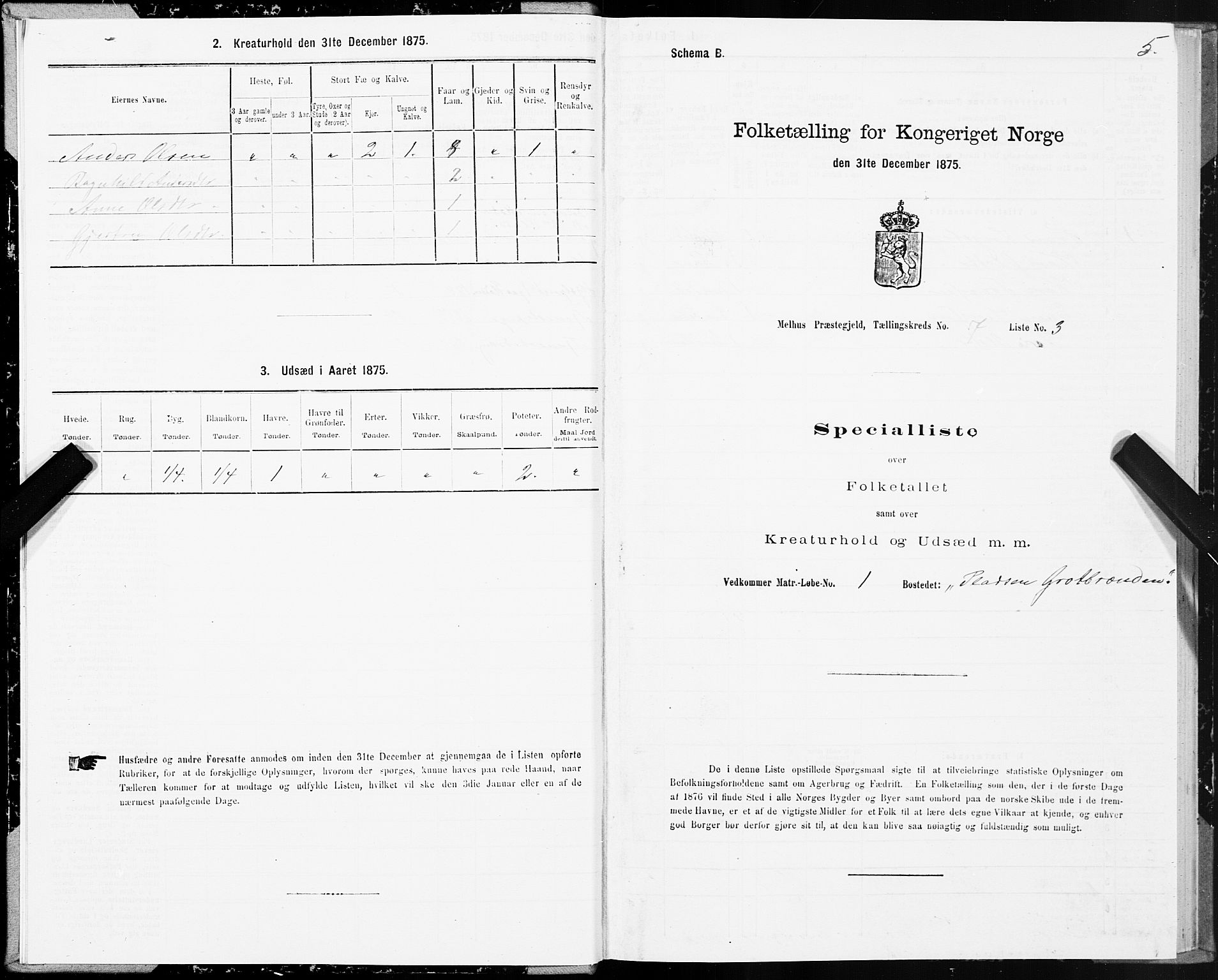 SAT, 1875 census for 1653P Melhus, 1875, p. 5005