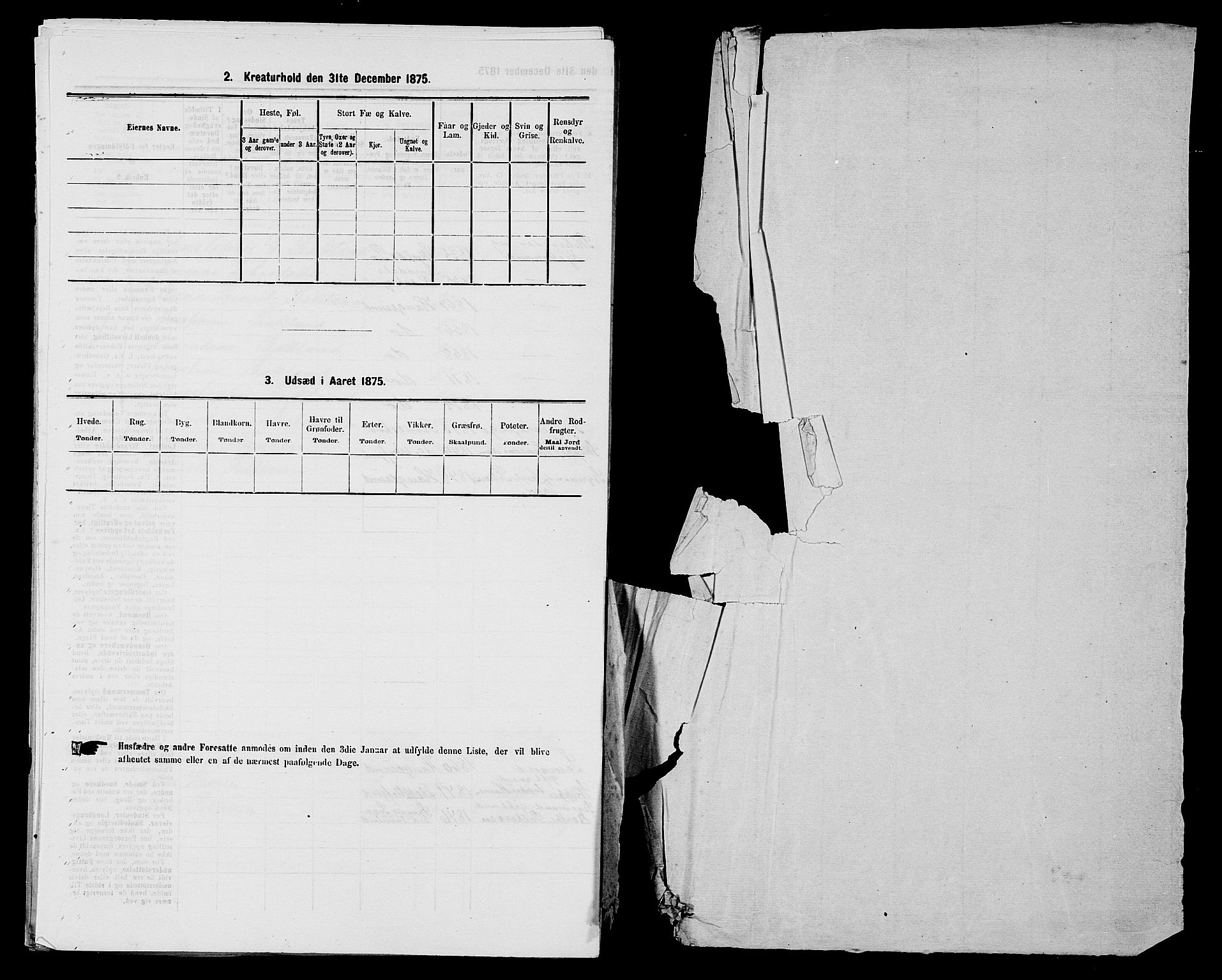 SAST, 1875 census for 1106B Torvastad/Haugesund, 1875, p. 337