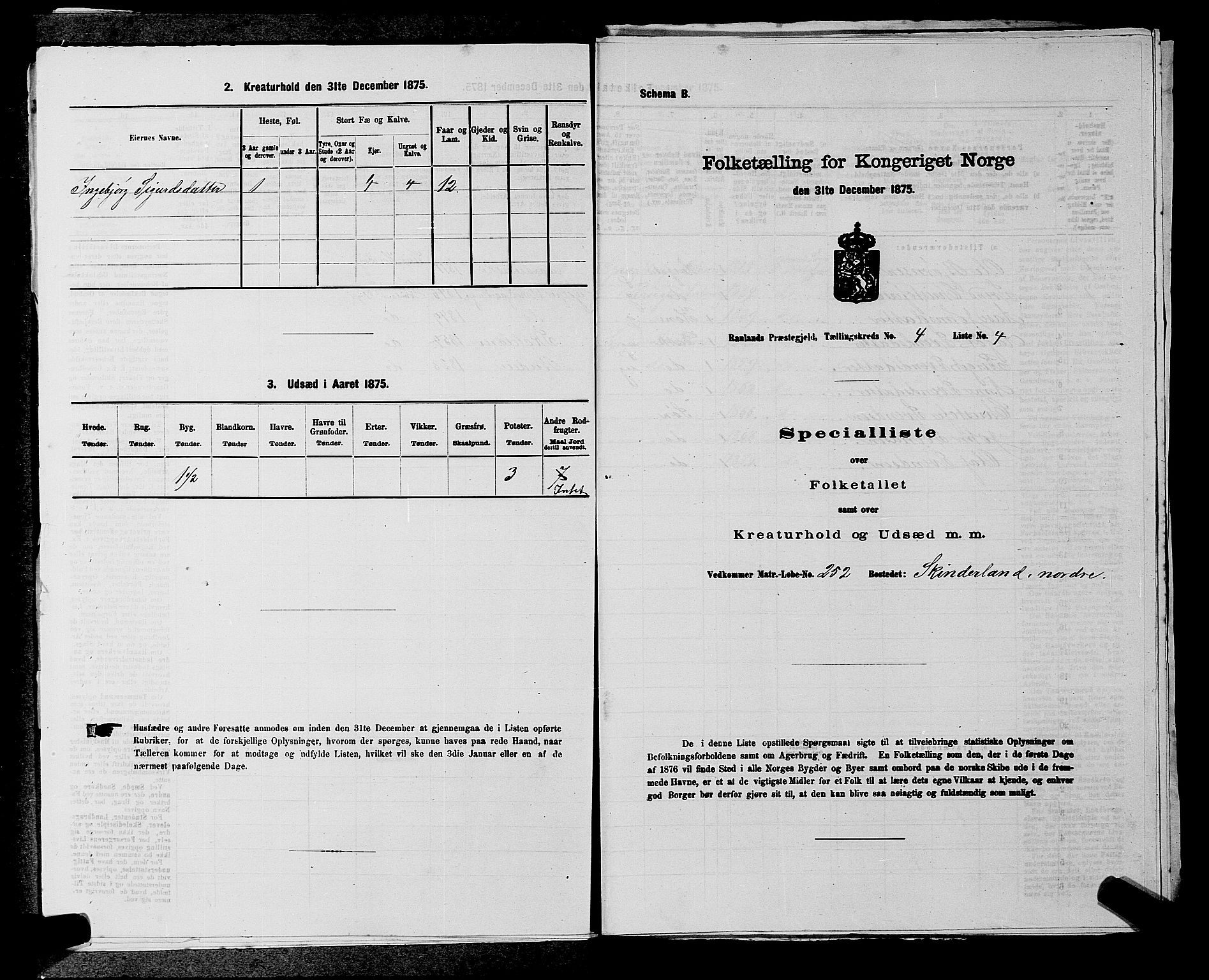 SAKO, 1875 census for 0835P Rauland, 1875, p. 232