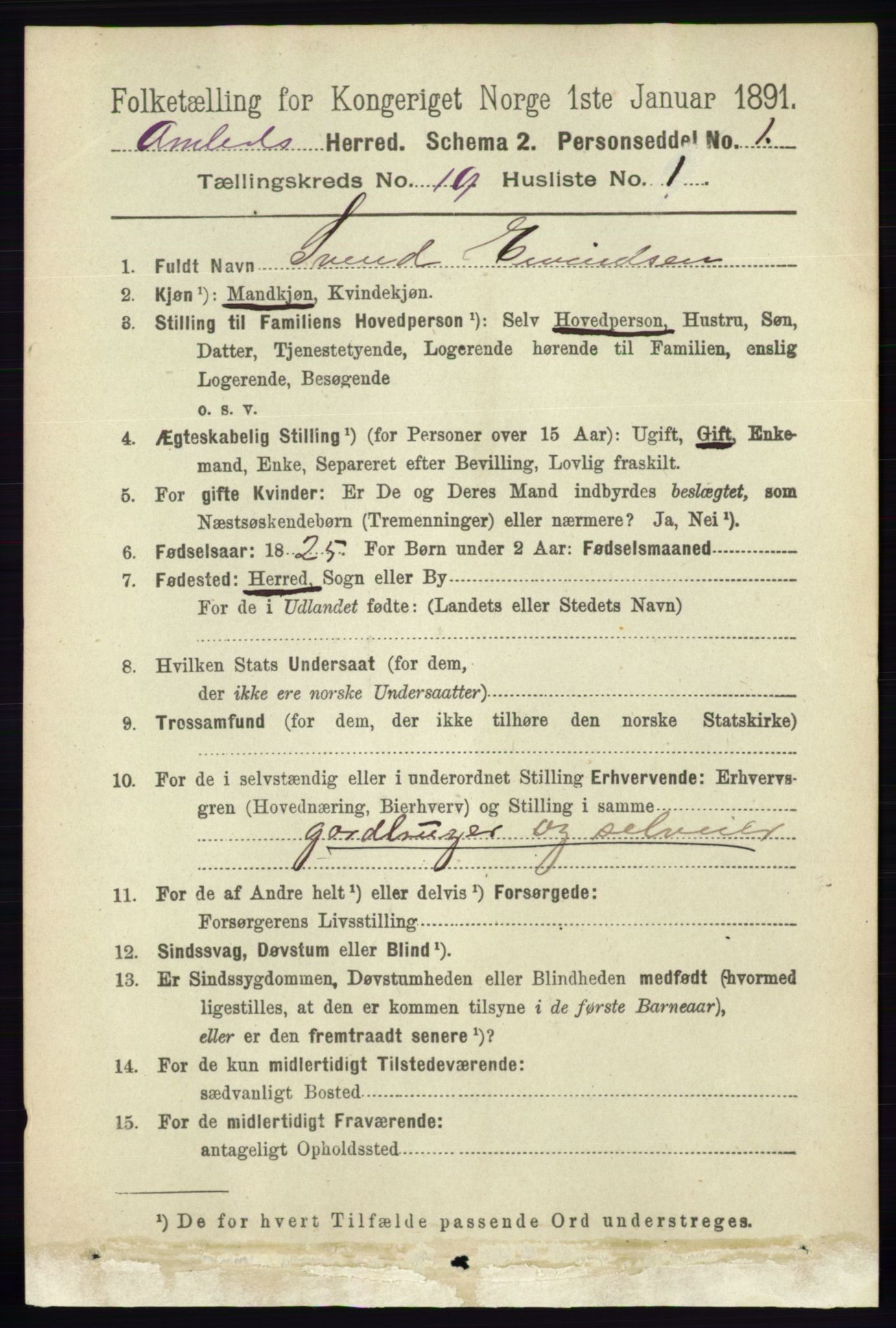 RA, 1891 census for 0929 Åmli, 1891, p. 3142